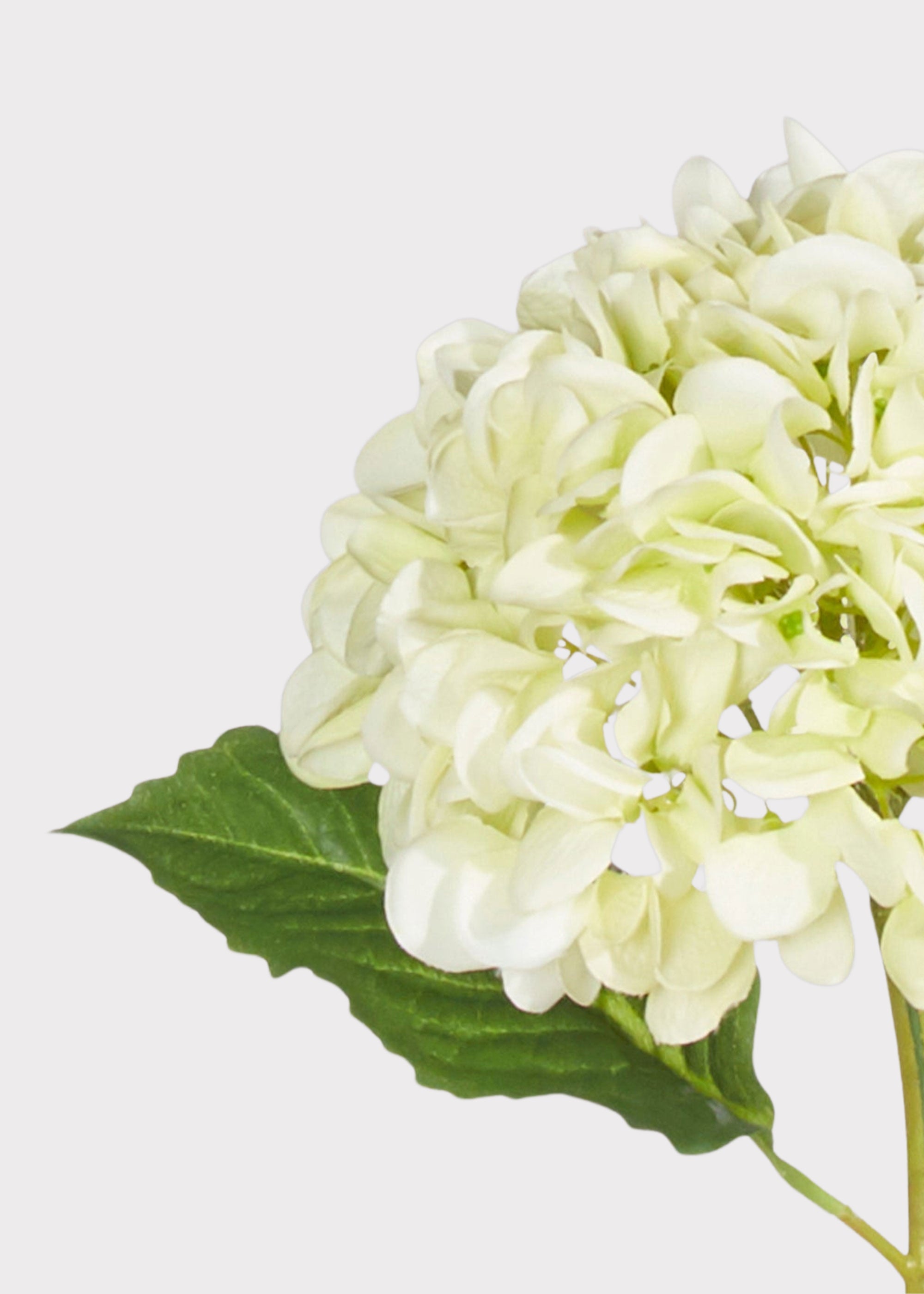 Green Real Touch Artificial Hydrangea Stem for Home Decor
