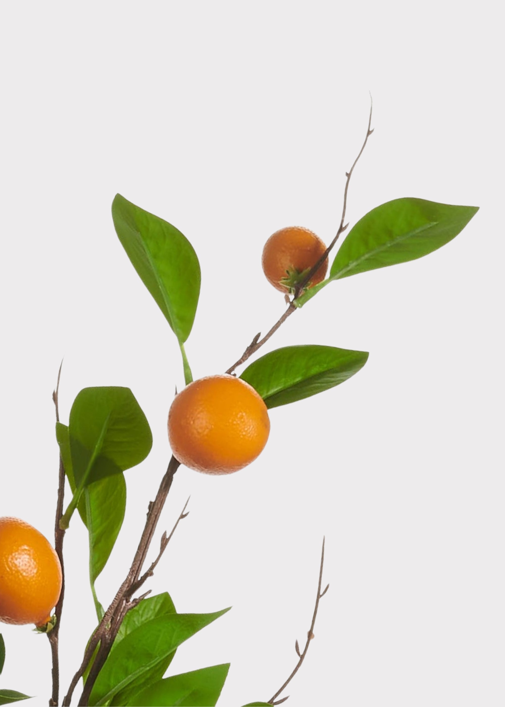 Orange Artificial Fruit Orange Branch for Home Decor