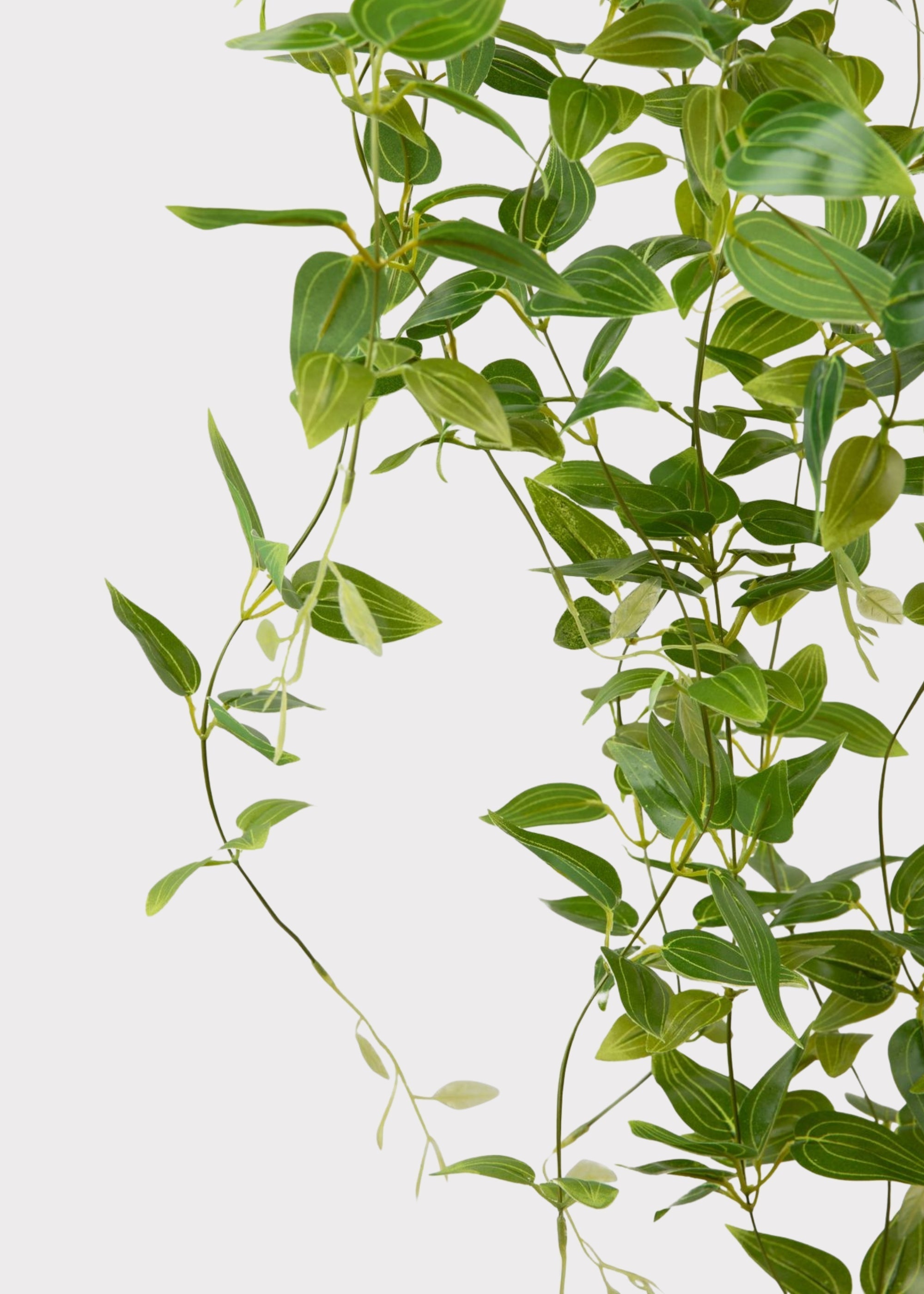 Green Artificial Deluxe Plants Hanging Tradescantia Houseplant for Home Decor