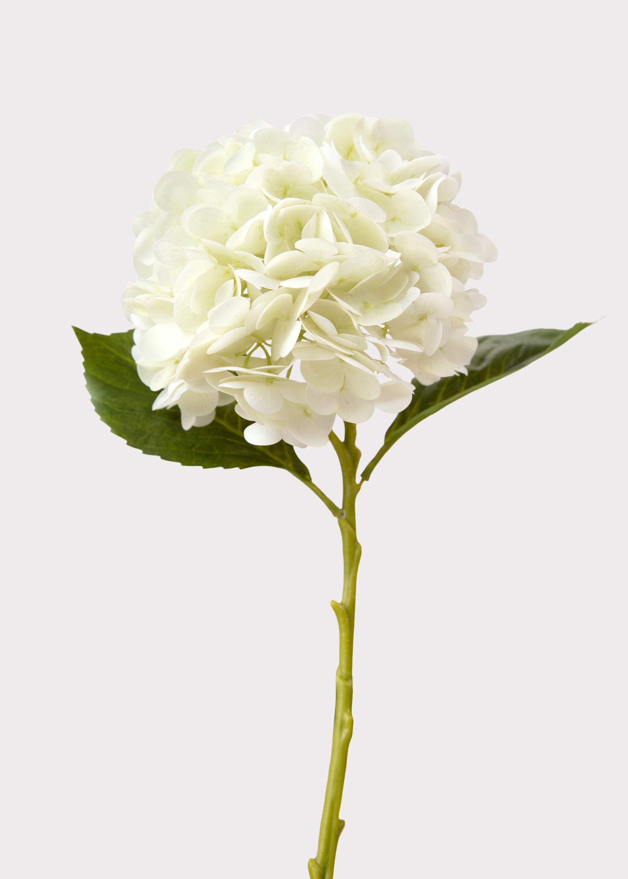 Cream Real Touch Artificial Hydrangea Stem for Vase Styling
