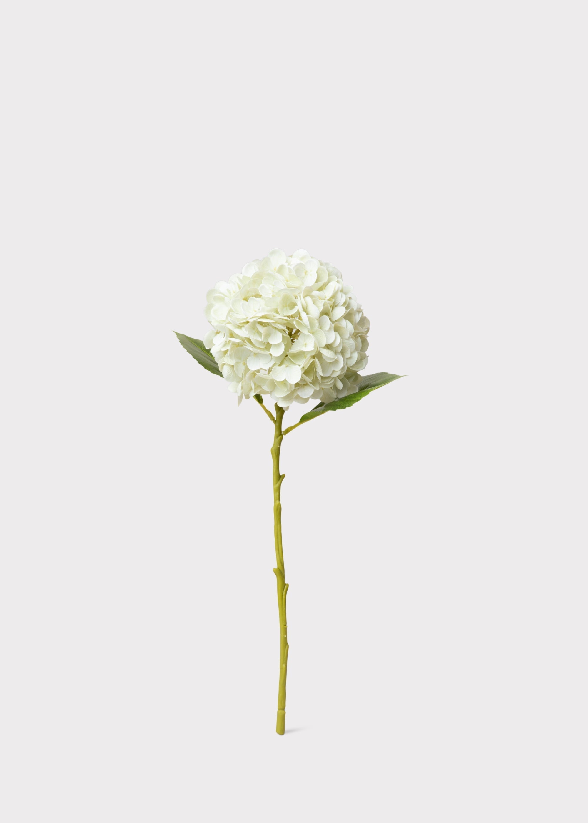 Cream Real Touch Artificial Hydrangea Stem for Home Decor