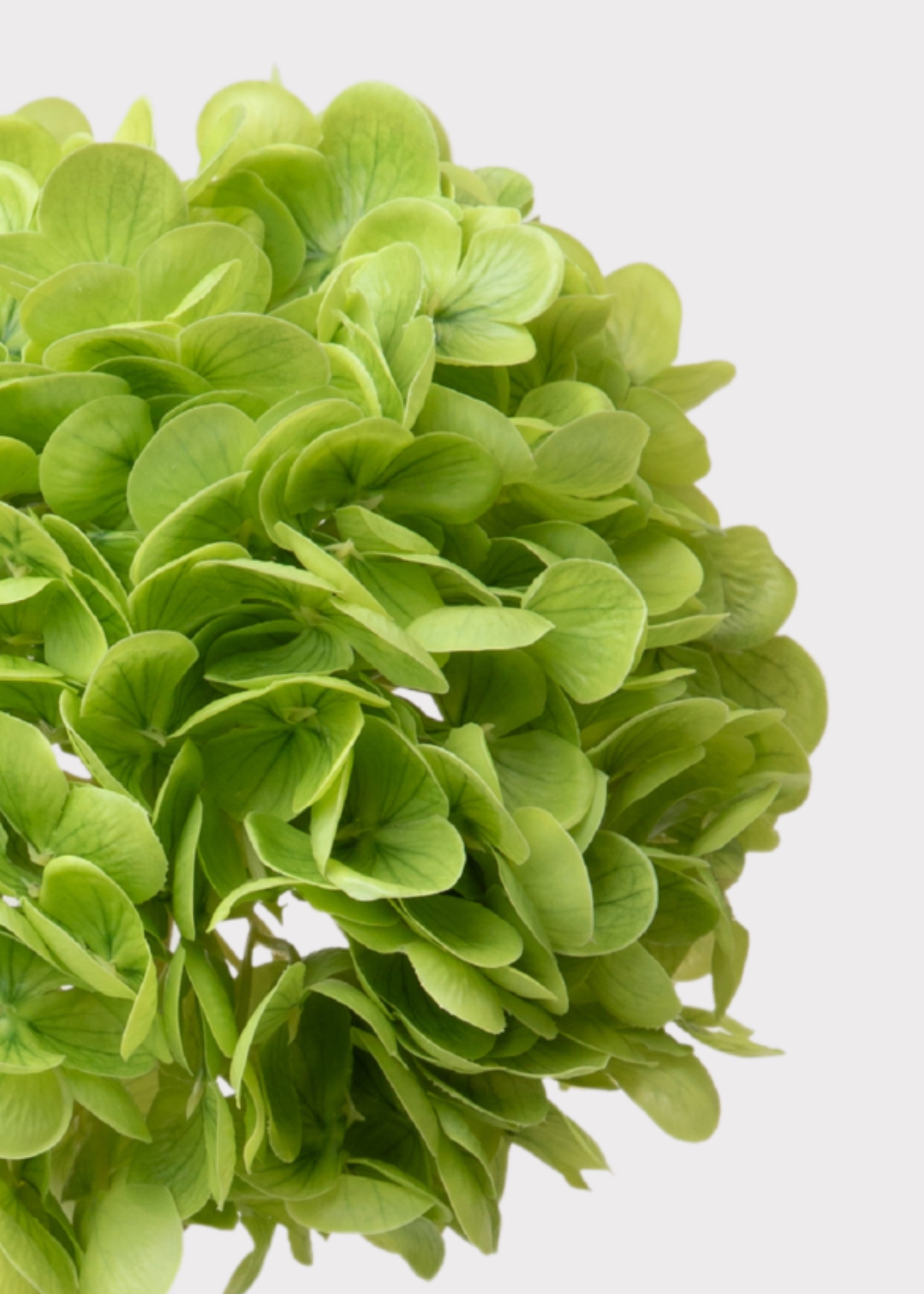 Green Real Touch Artificial Hydrangea Stem for Table Centerpiece
