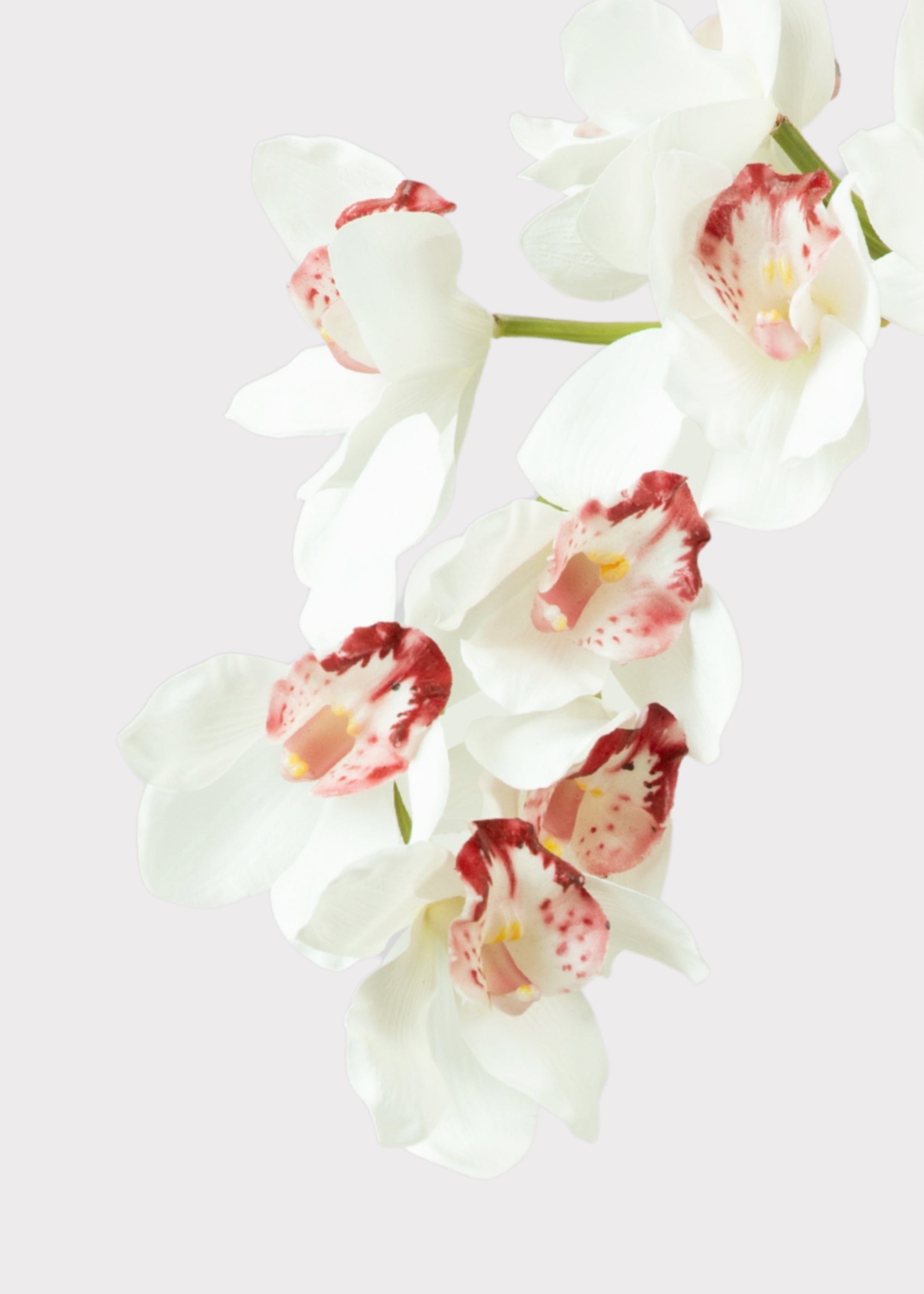 White Natural Touch Artificial Orchid Stem for Home Decor
