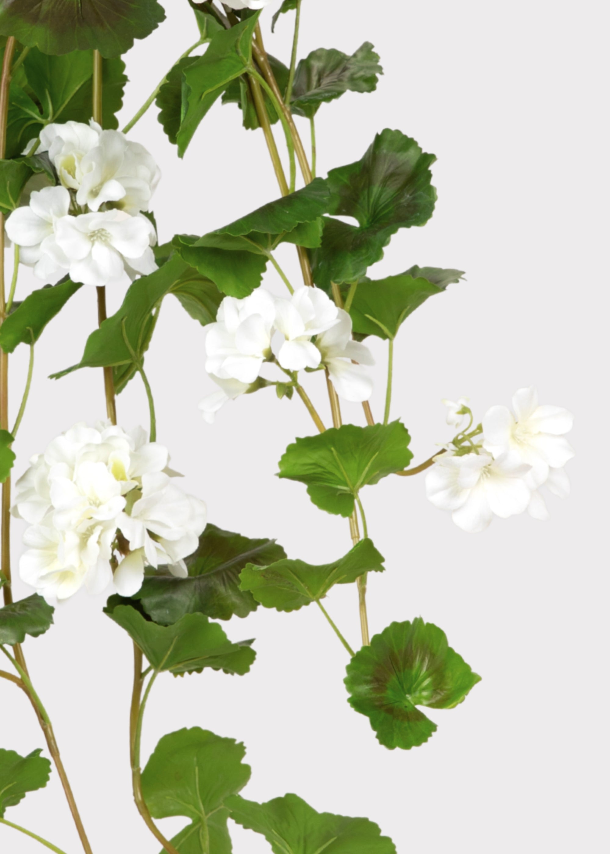 Natural Touch Artificial Geranium Bush for Entryway Arrangement