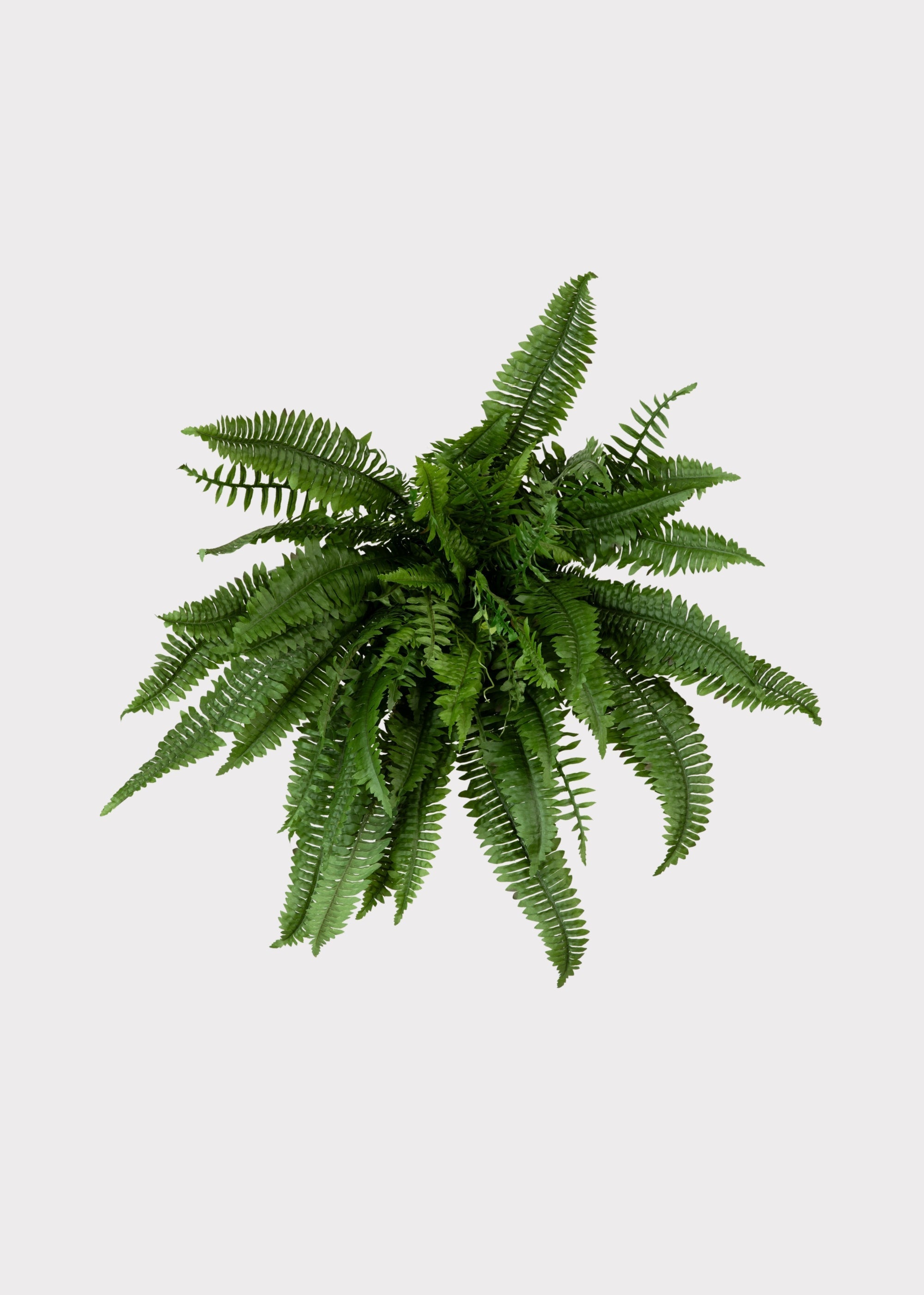 Green Artificial Fern Bush for Vase Styling