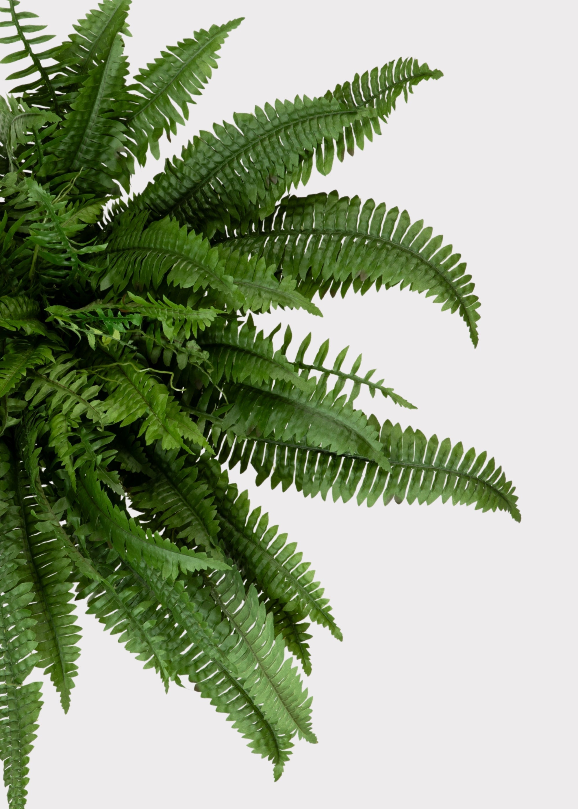 Green Artificial Fern Bush for Wedding Decor