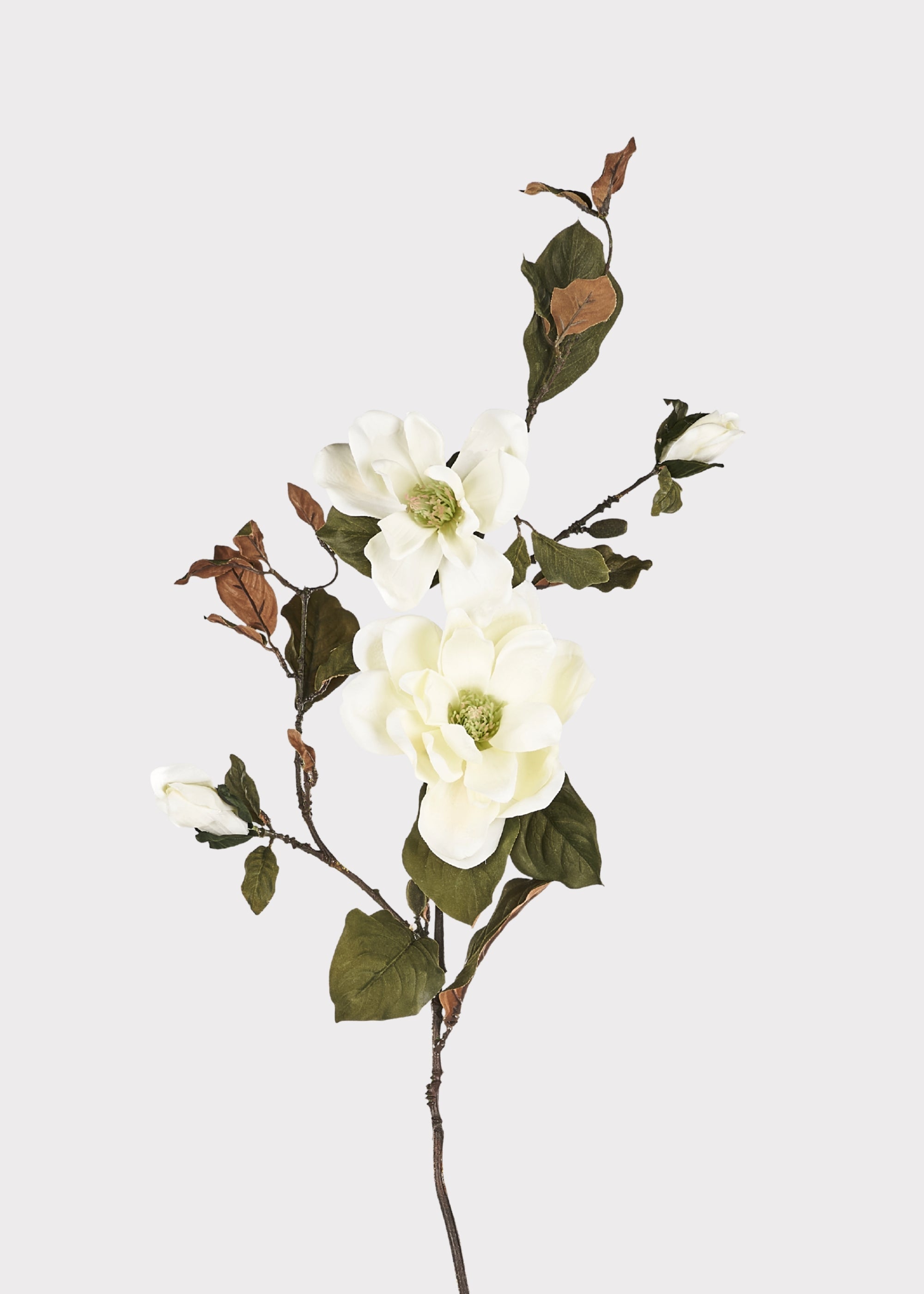Cream Artificial Magnolia Branch for Vase Styling