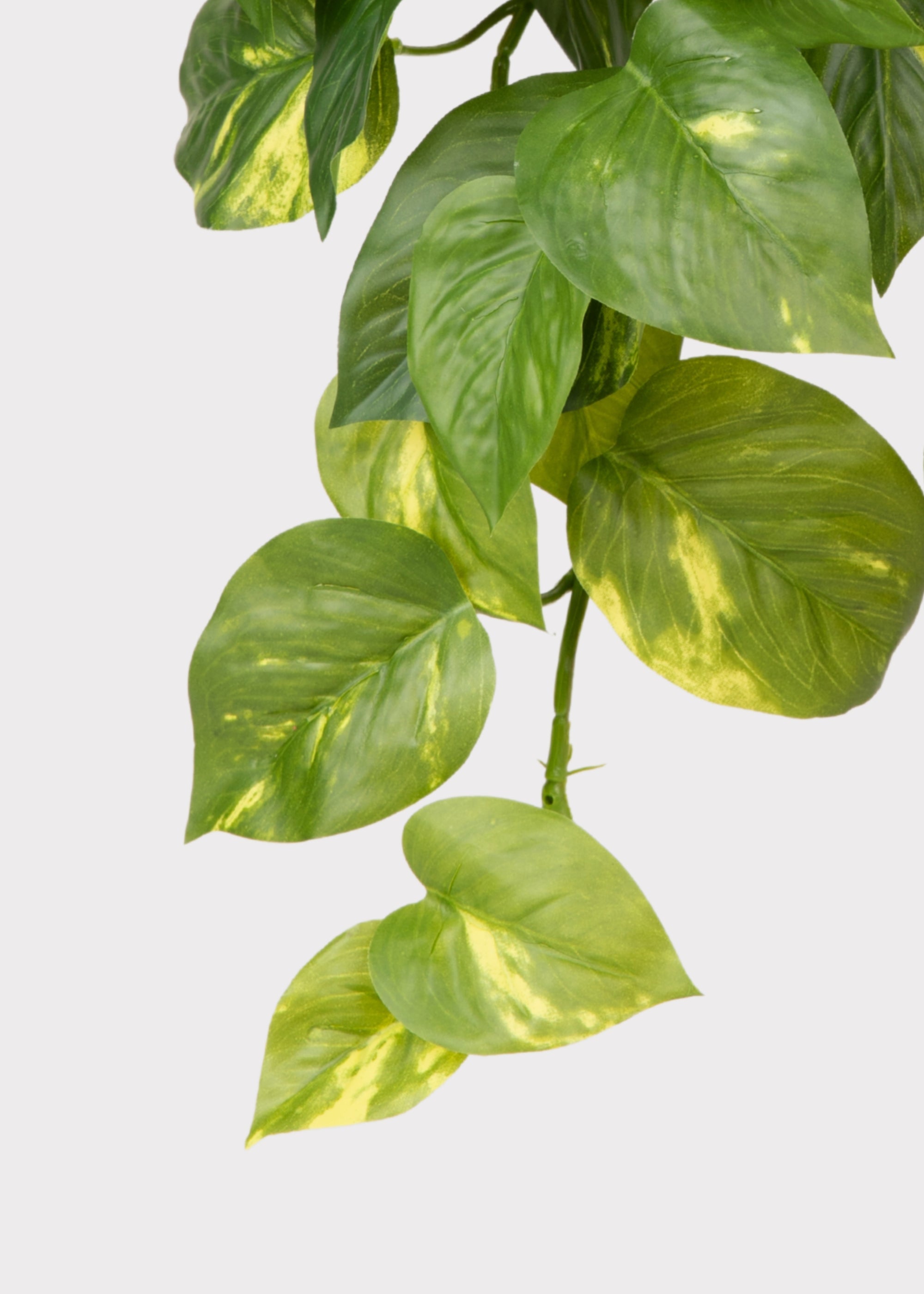 Green Artificial Pothos Hanging for Shelf Styling