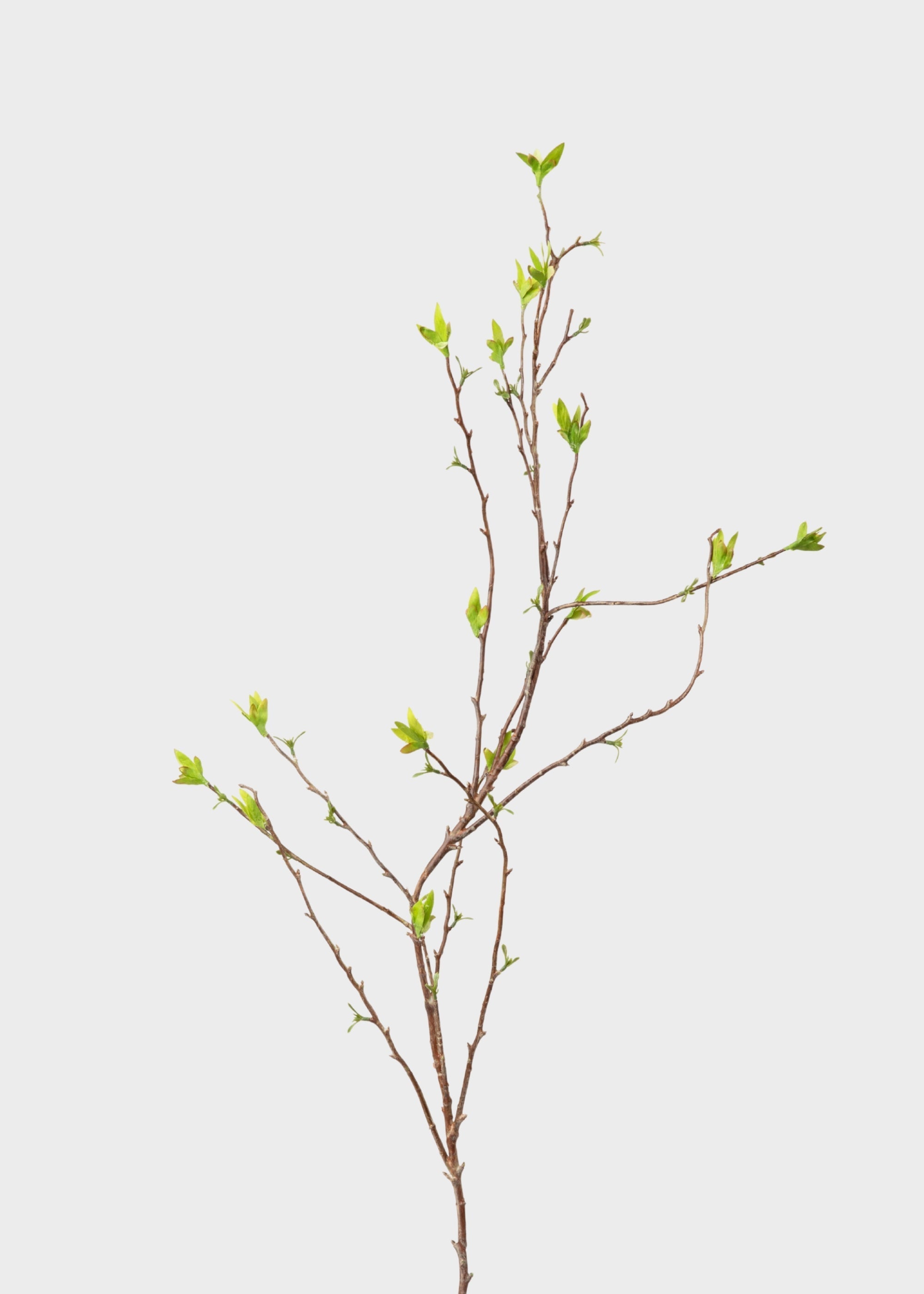 Green Artificial Willow Branch for Vase Styling