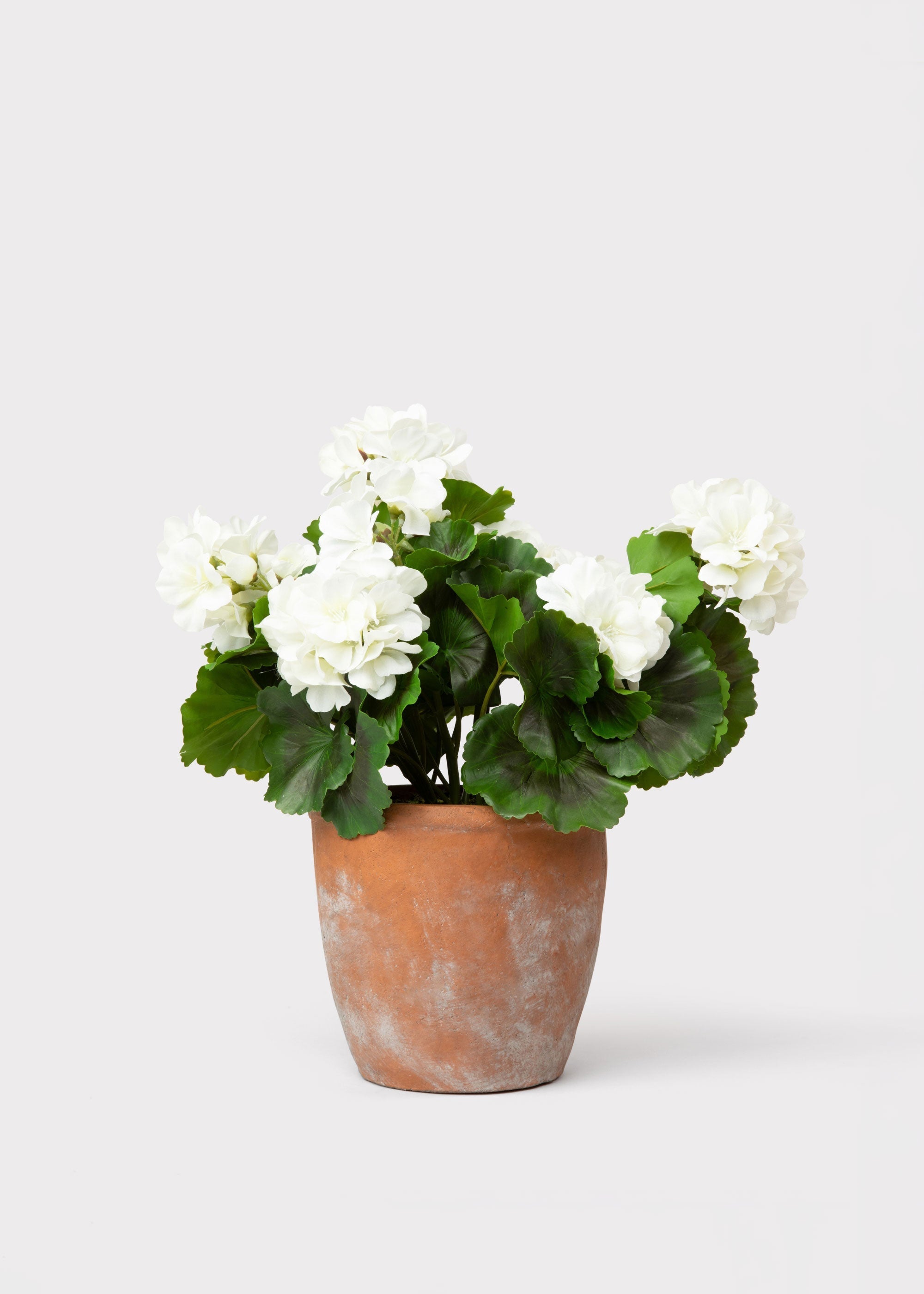 White Artificial Geranium Potted Plant for Vase Styling
