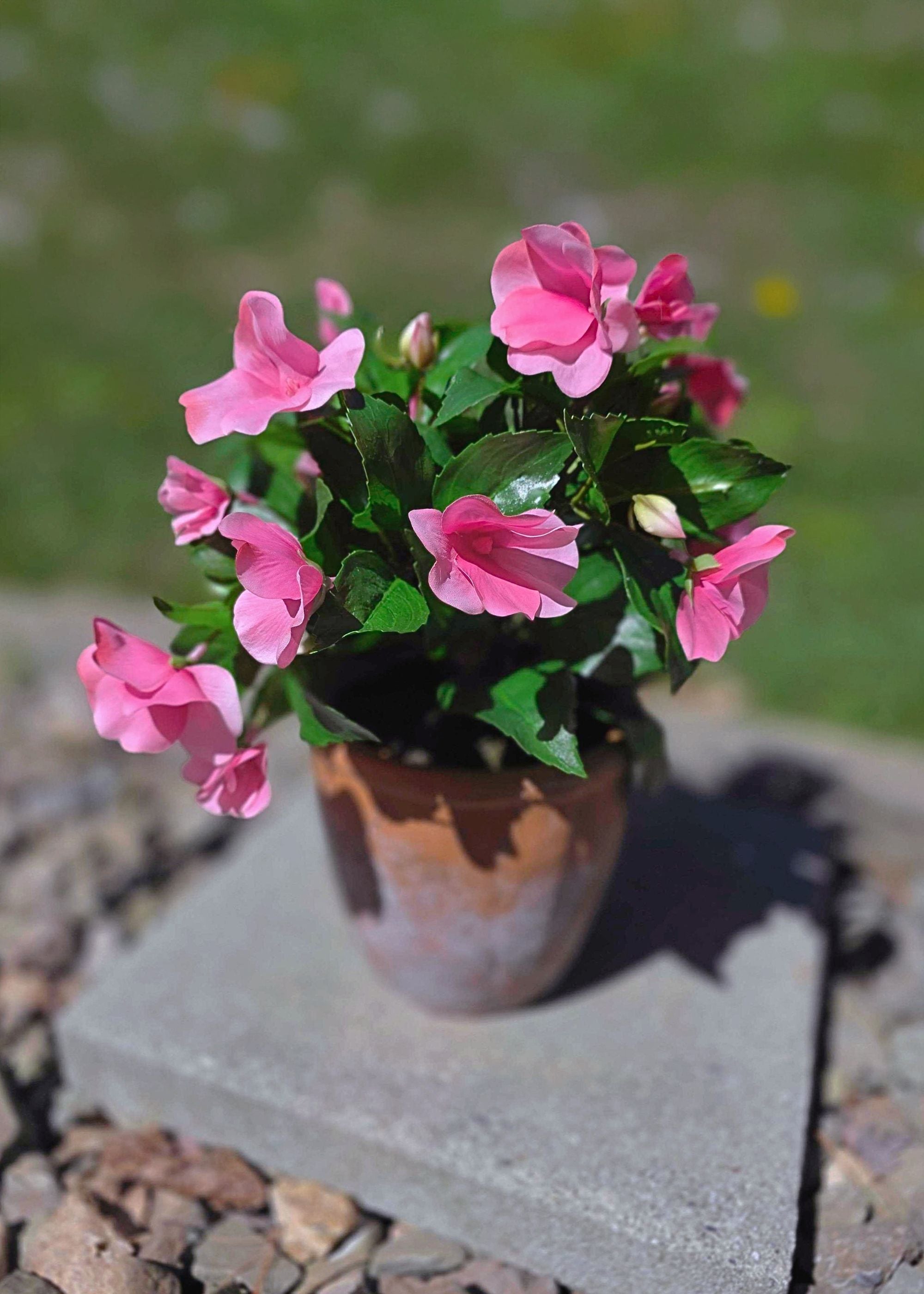 Pink Artificial Impatiens Potted Outdoor for Entryway Arrangement