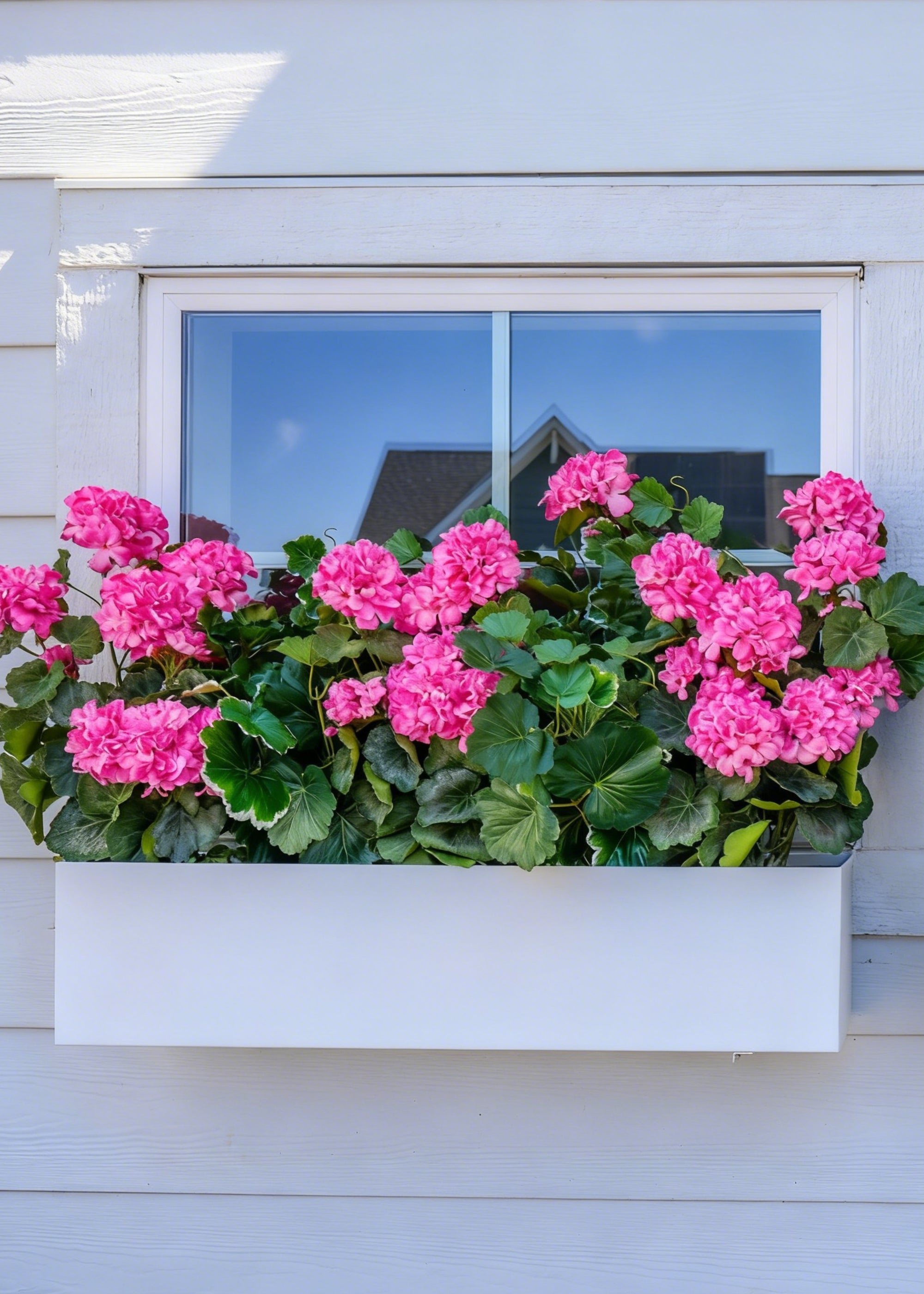 Pink Artificial Geranium Bush for Table Centerpiece