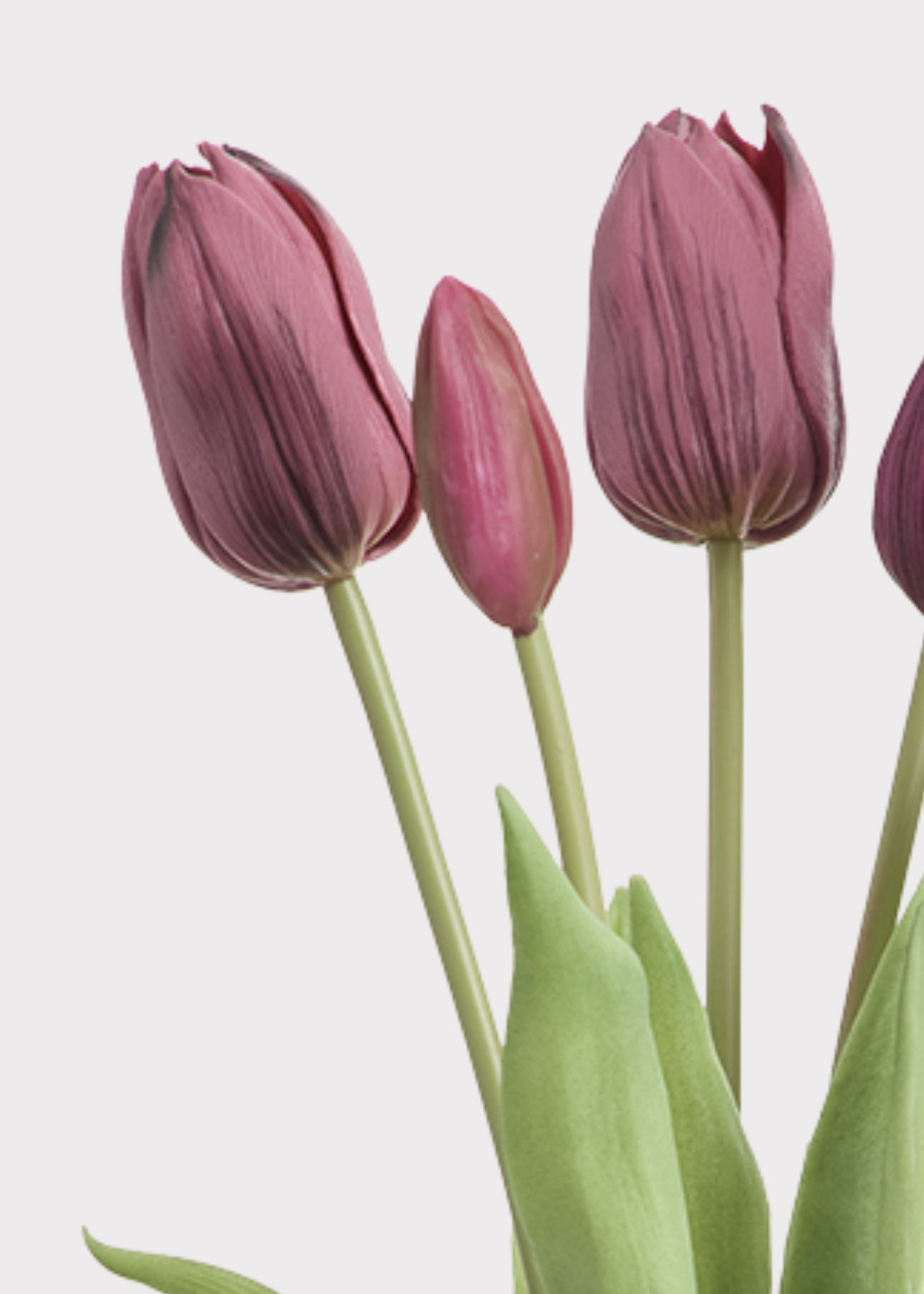Purple Real Touch Artificial Tulip Bouquet for Home Decor