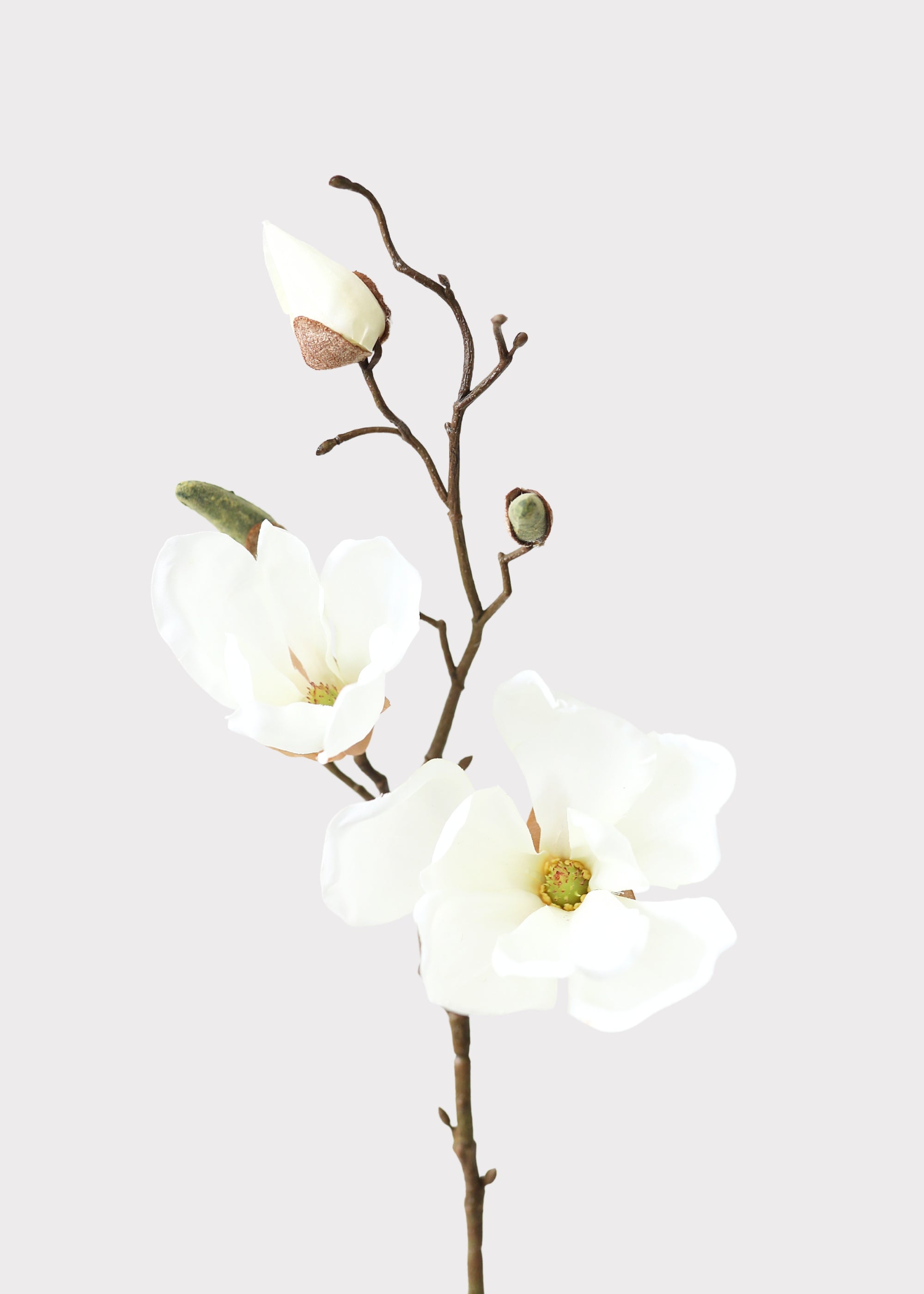 Cream Artificial Magnolia Stem for Vase Styling