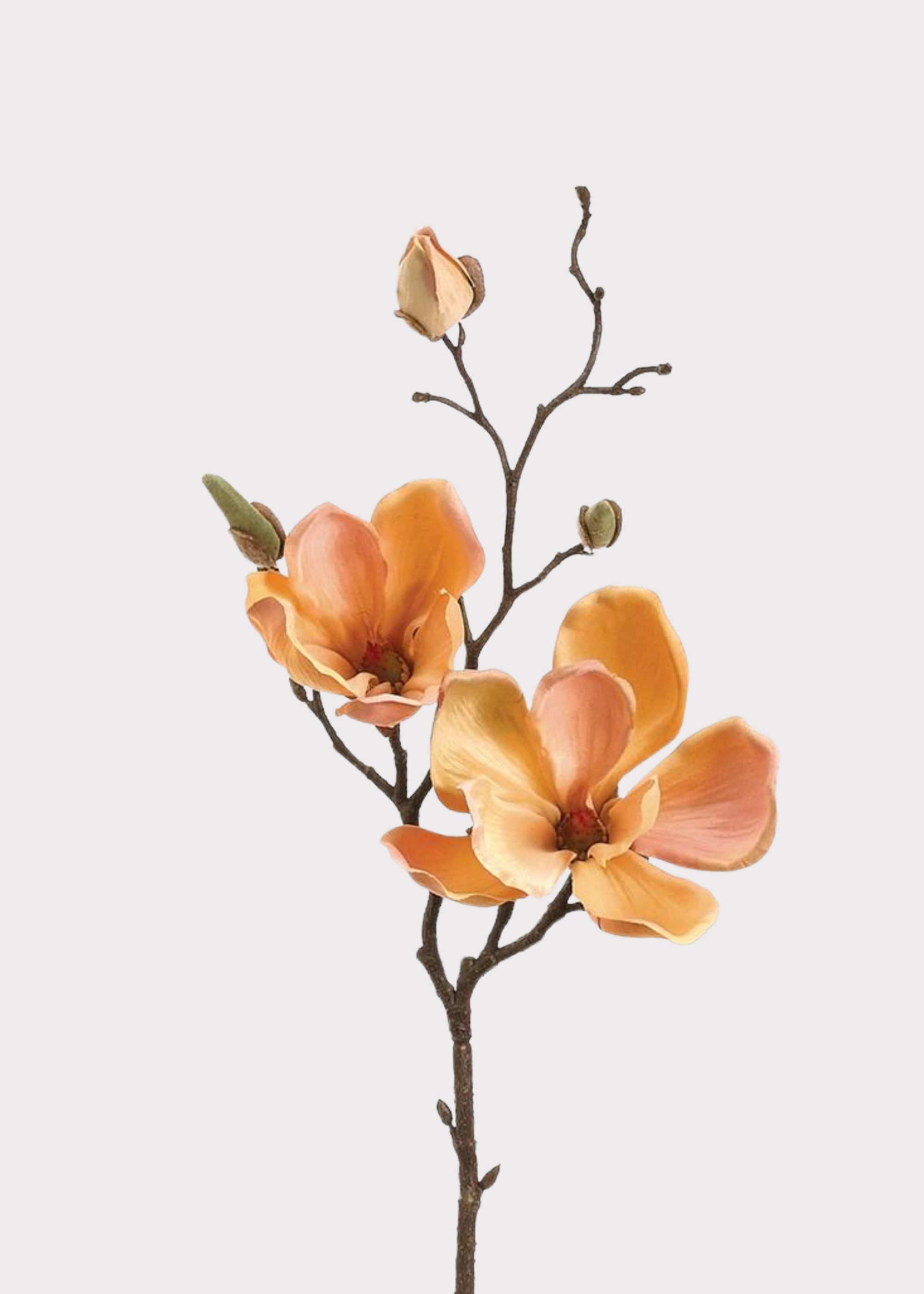 Yellow Artificial Magnolia Stem for Vase Styling