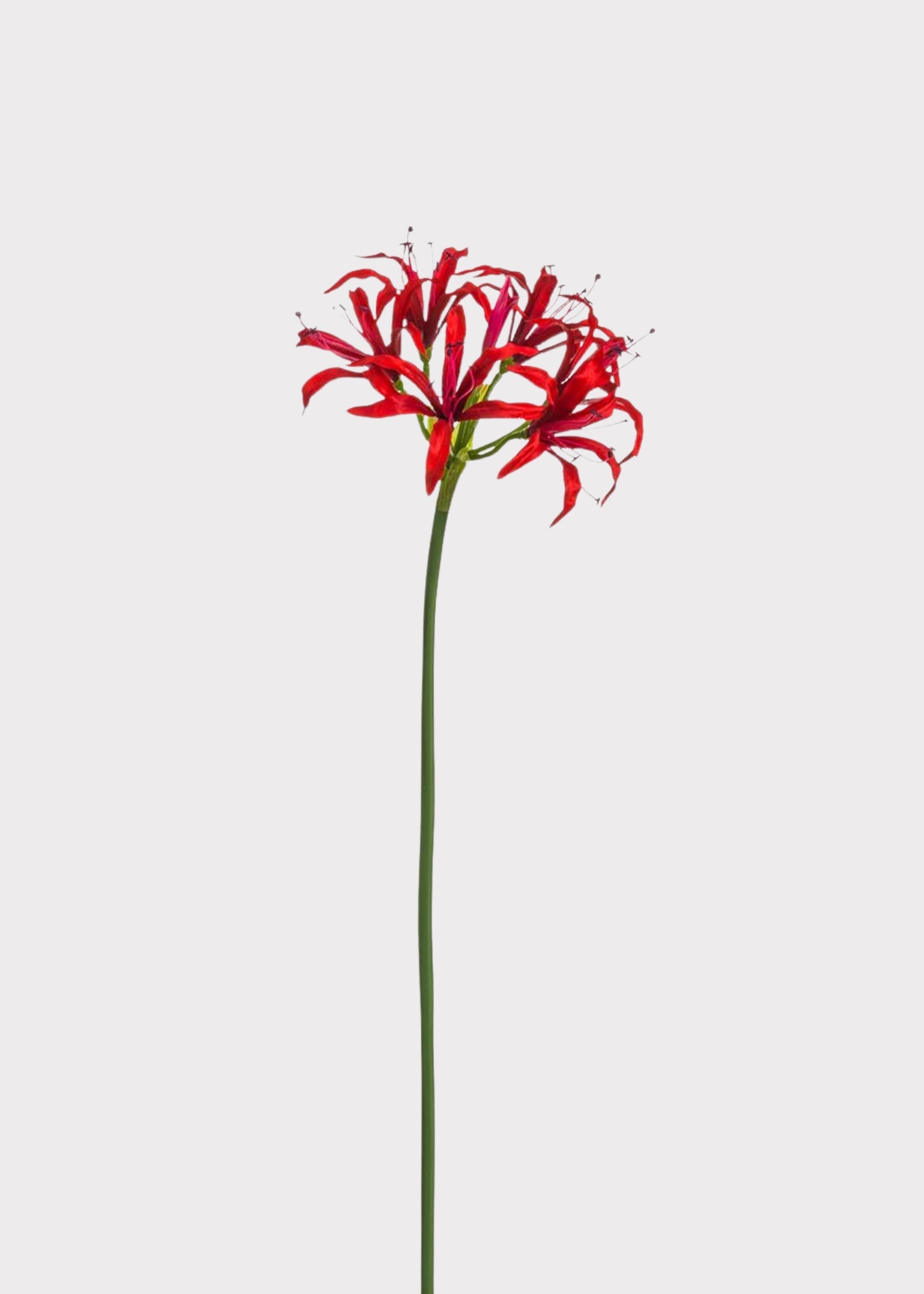 Red Artificial Lily Stem for Table Centerpiece