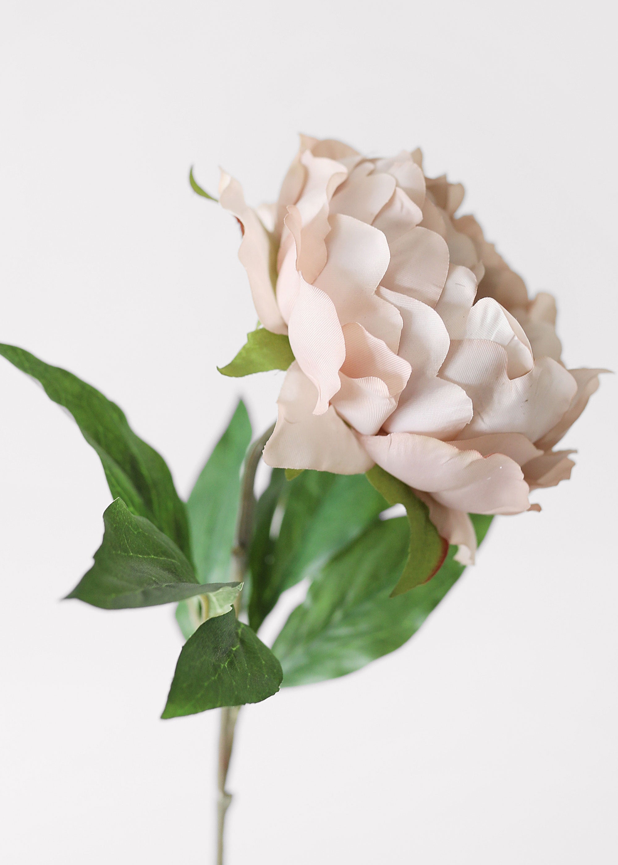 Beige Artificial Peony Stem for Wedding Decor