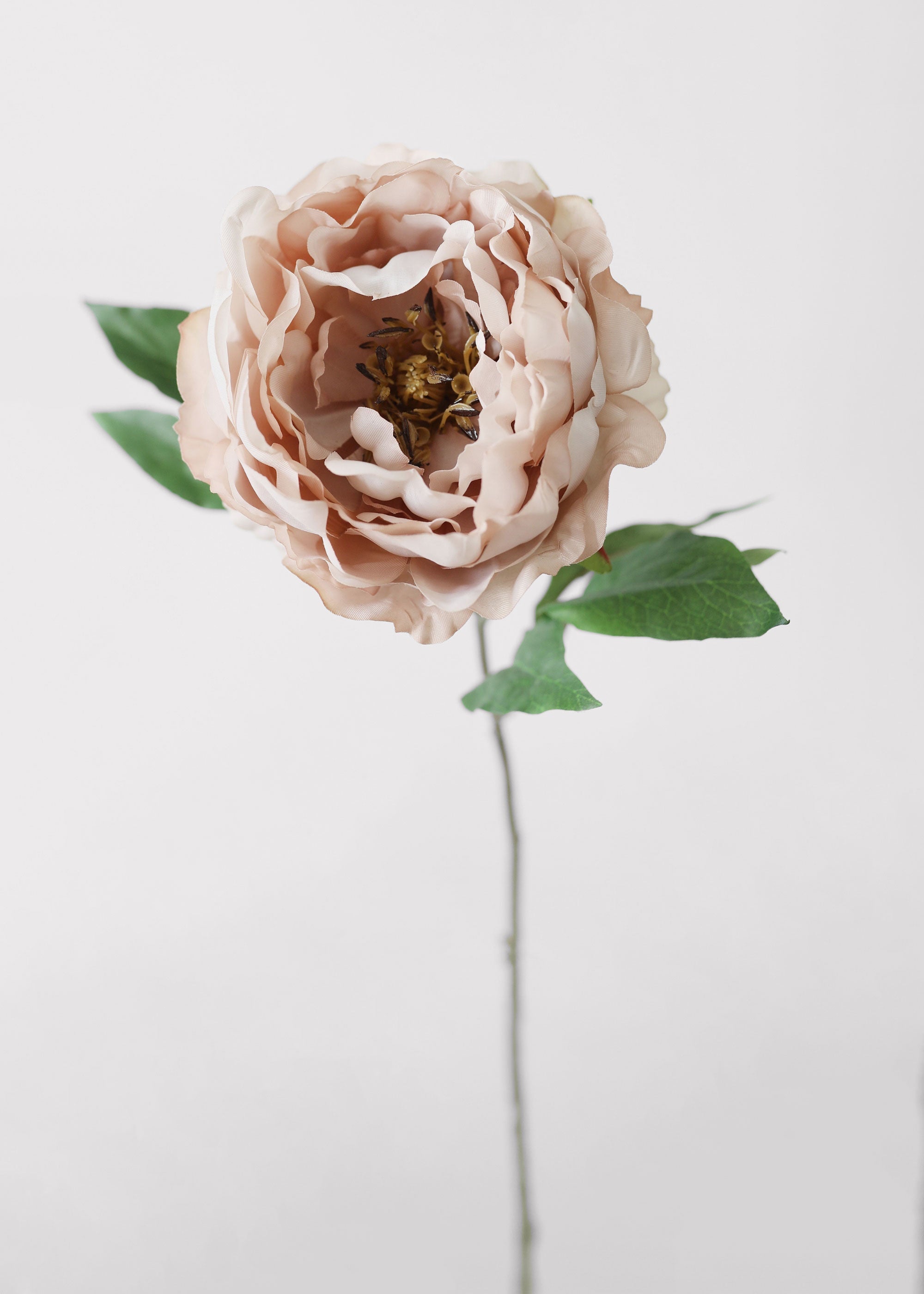 Beige Artificial Peony Stem for Vase Styling