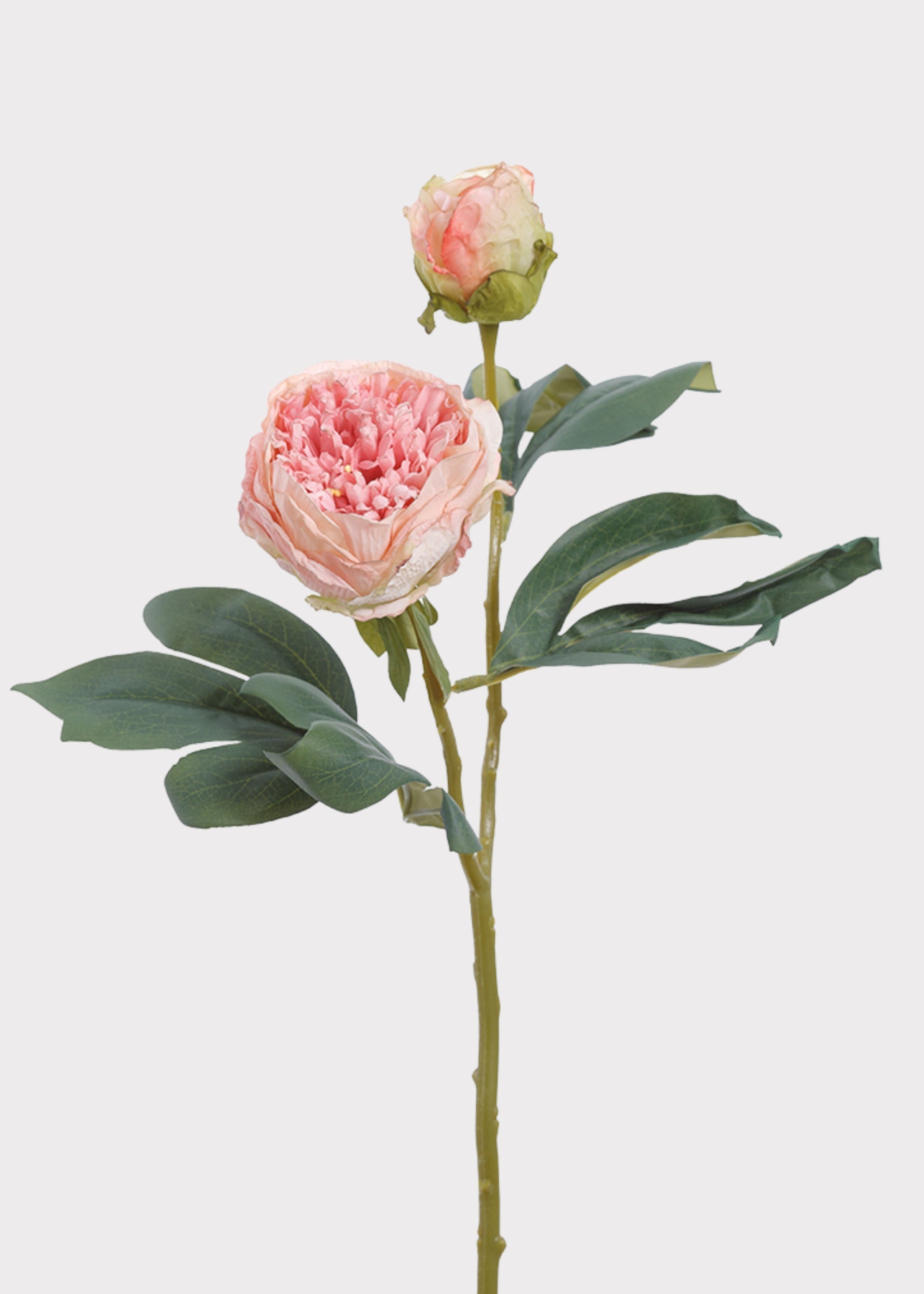 Pink Artificial Peony Stem for Vase Styling