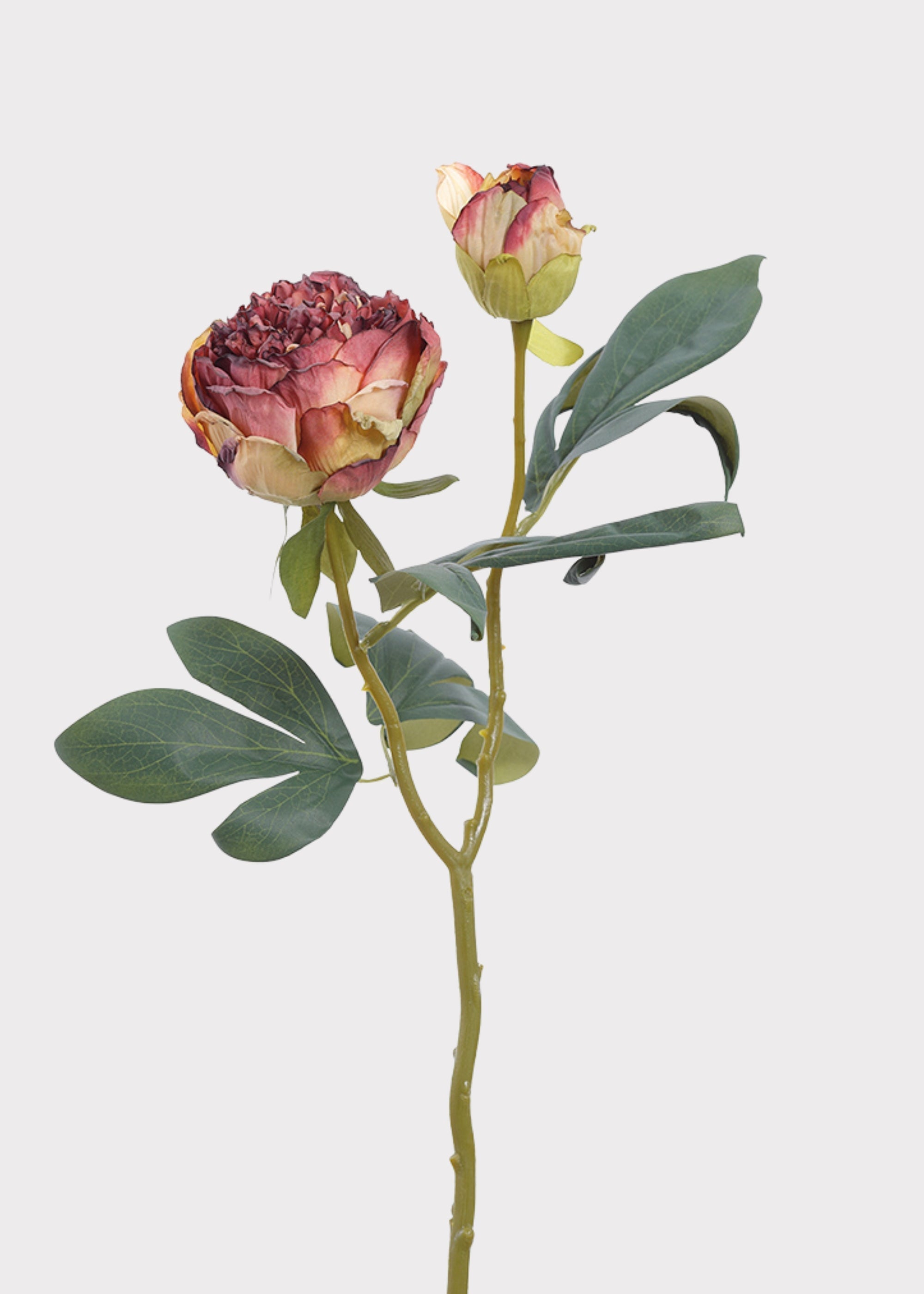 Burgundy Artificial Peony Stem for Vase Styling