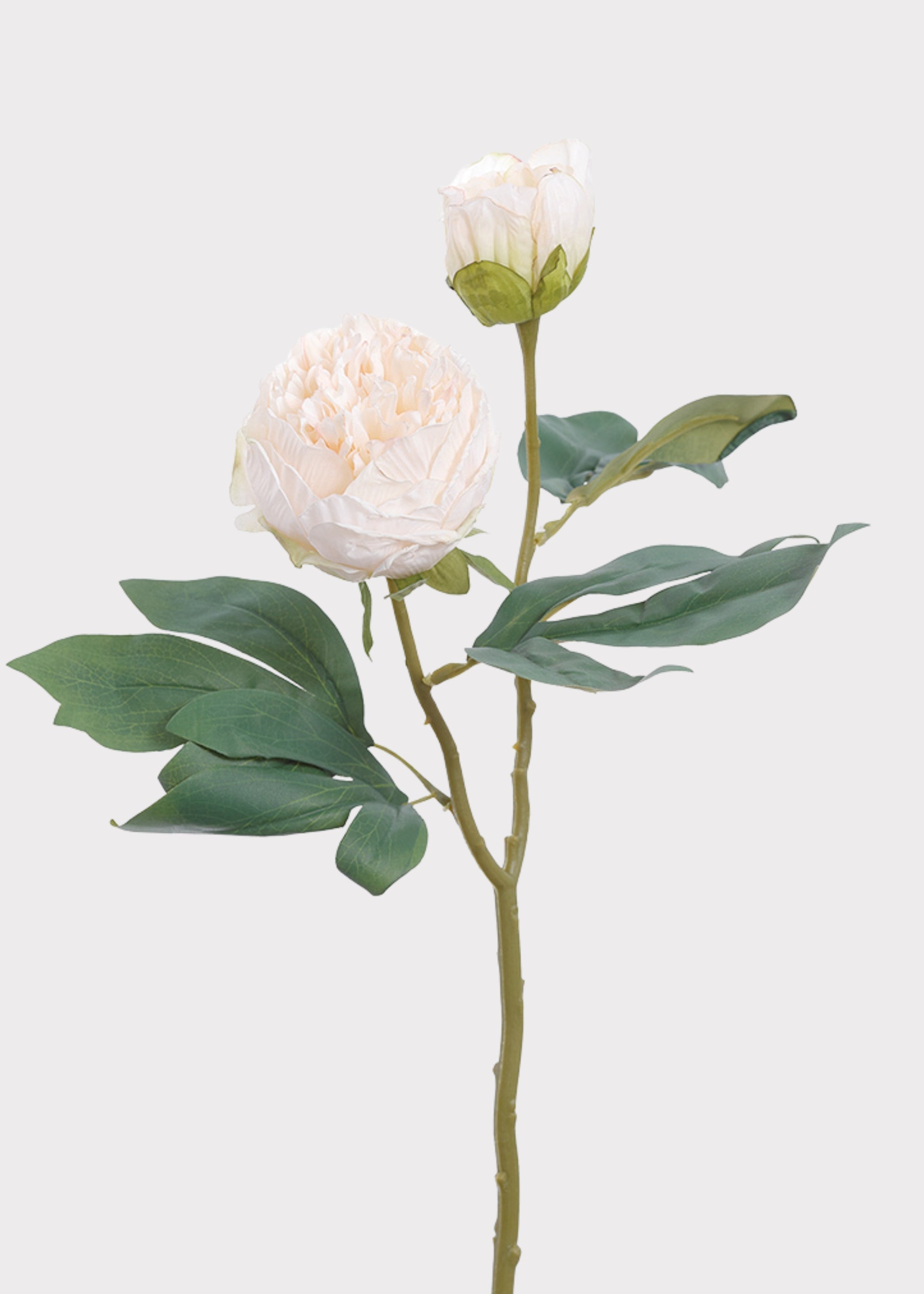 Cream Artificial Peony Stem for Vase Styling