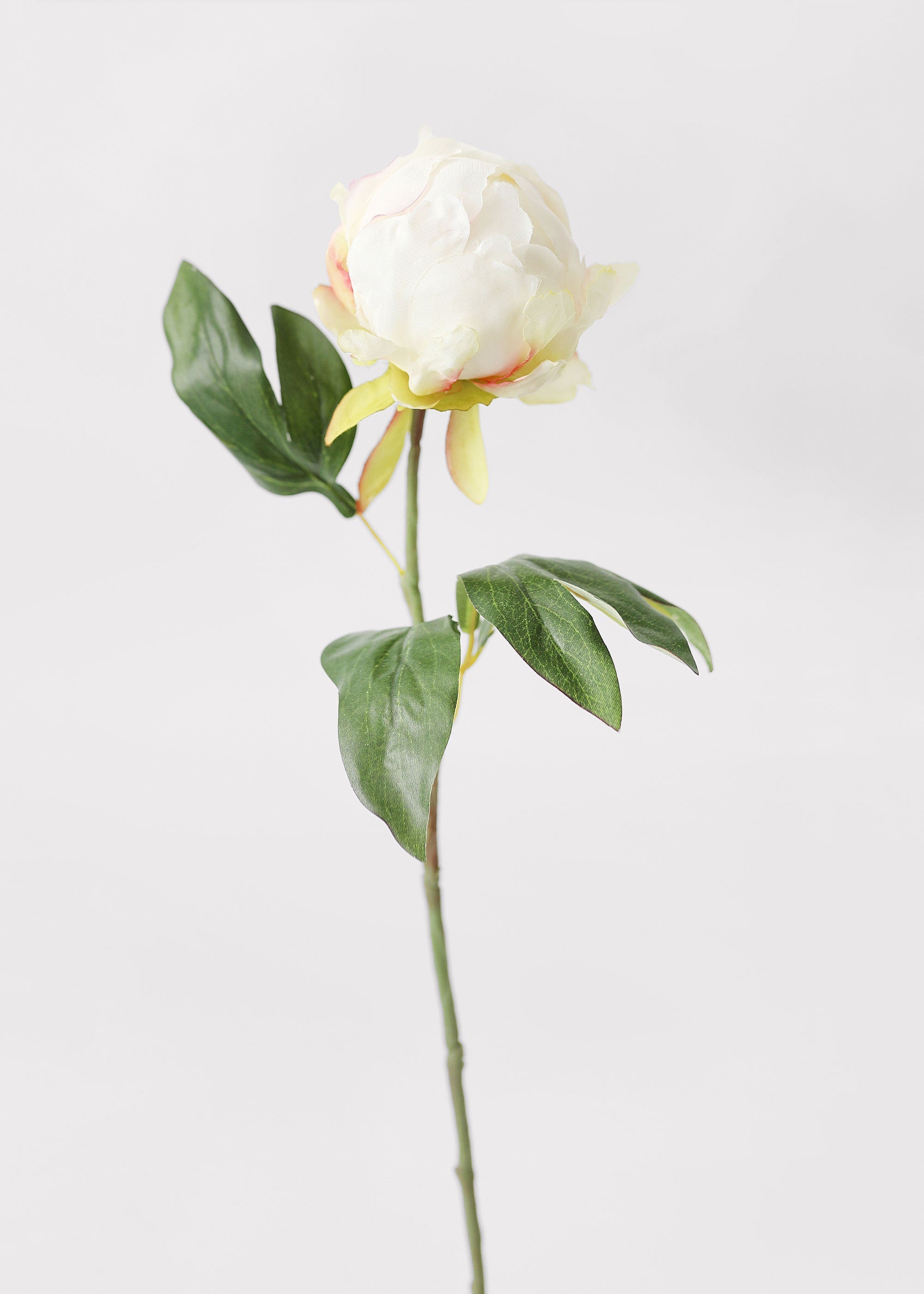 Cream Artificial Peony Stem for Vase Styling