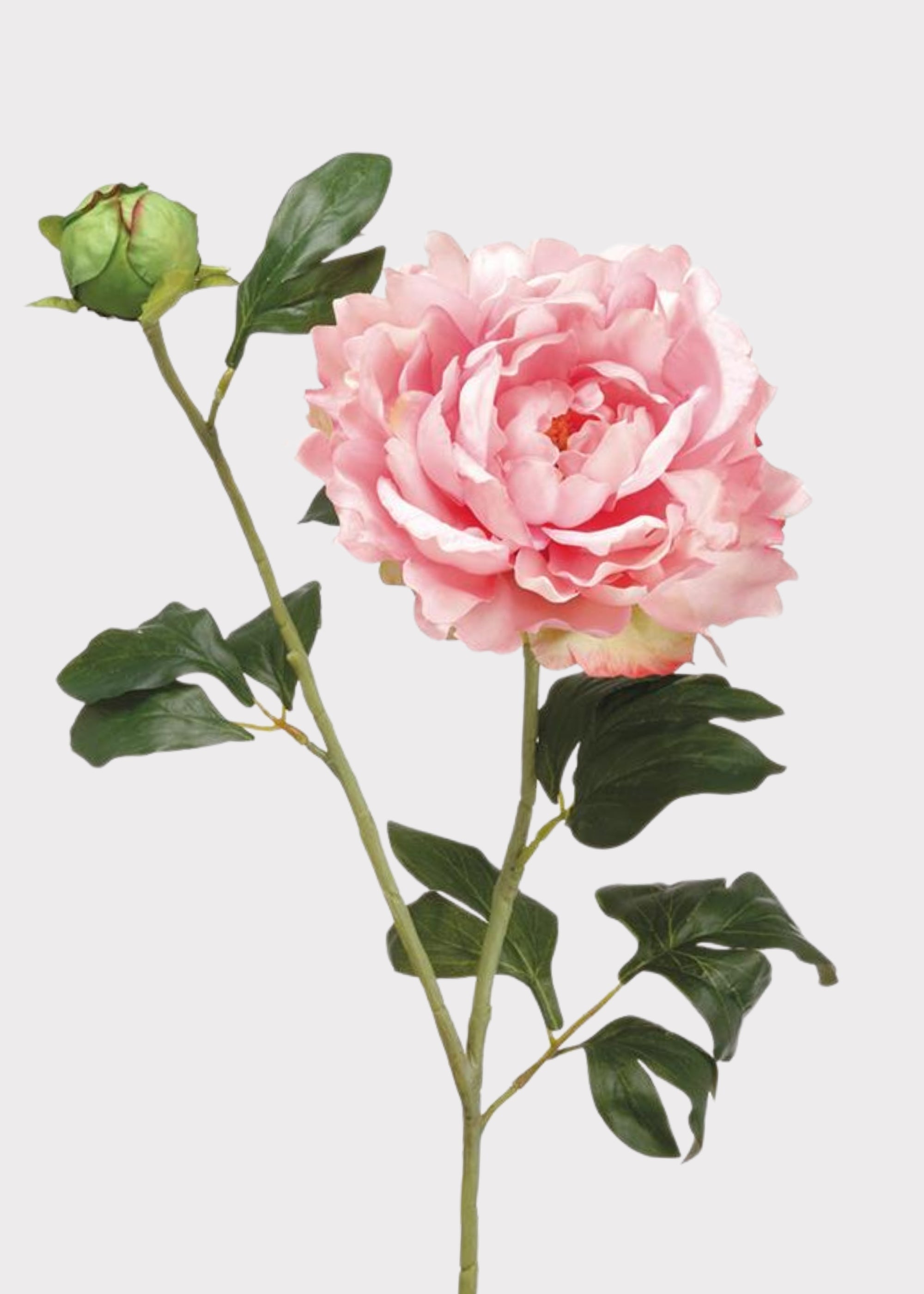 Pink Artificial Peony Stem for Vase Styling