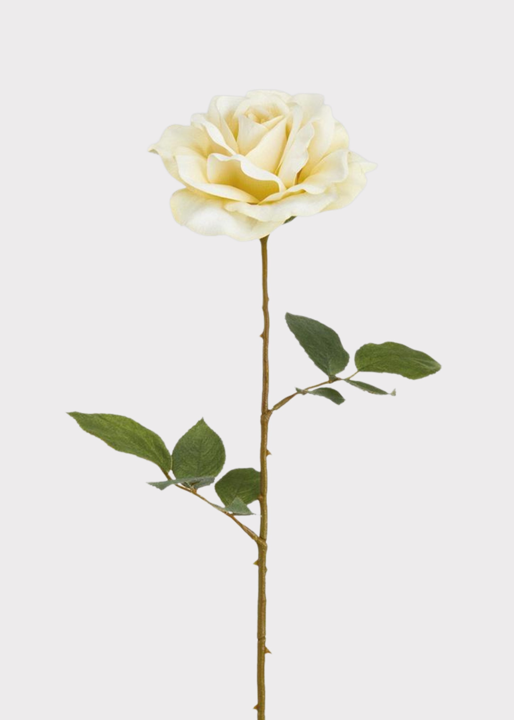 White Artificial Rose Stem for Vase Styling