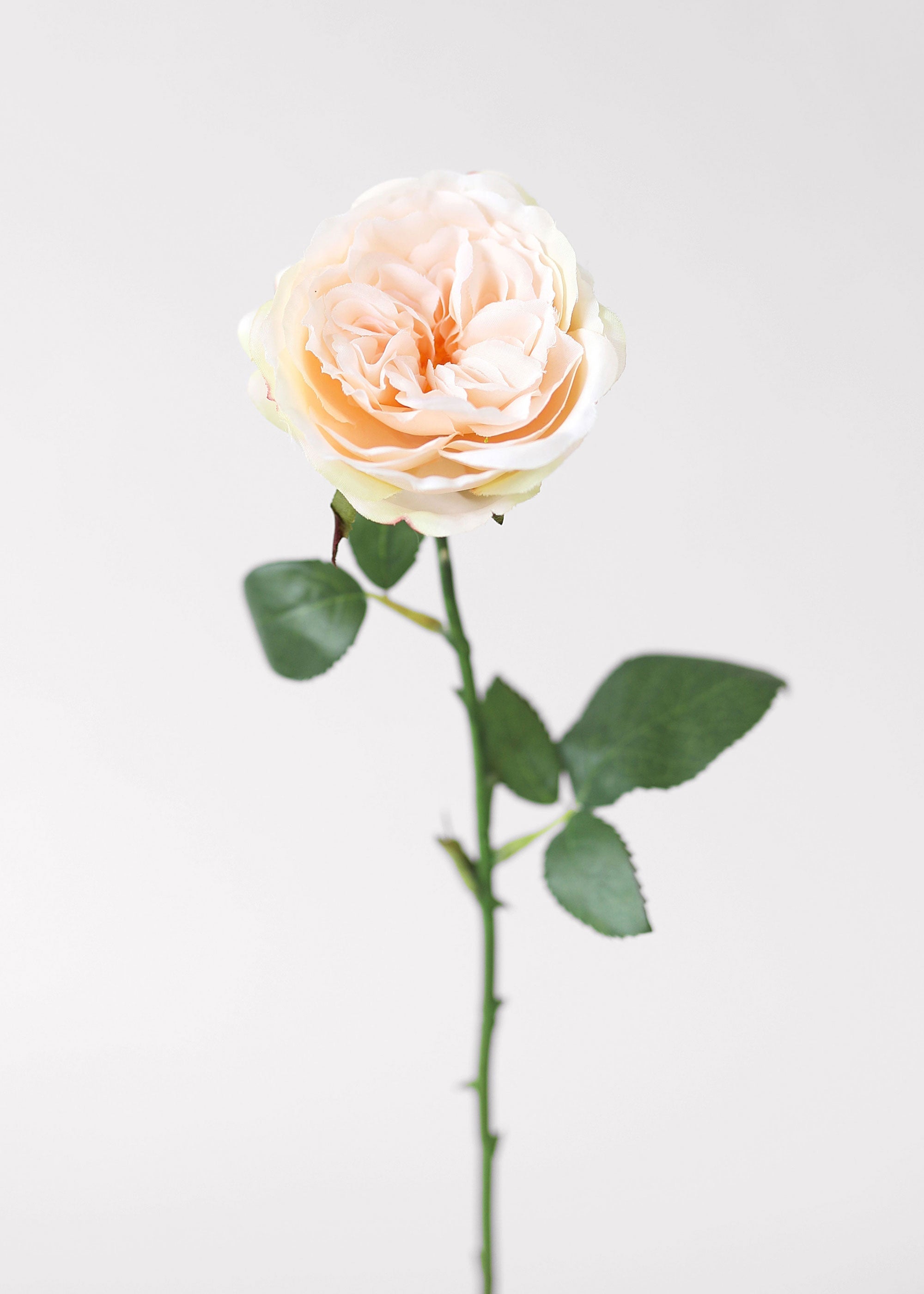 Pink Artificial Rose Stem for Vase Styling