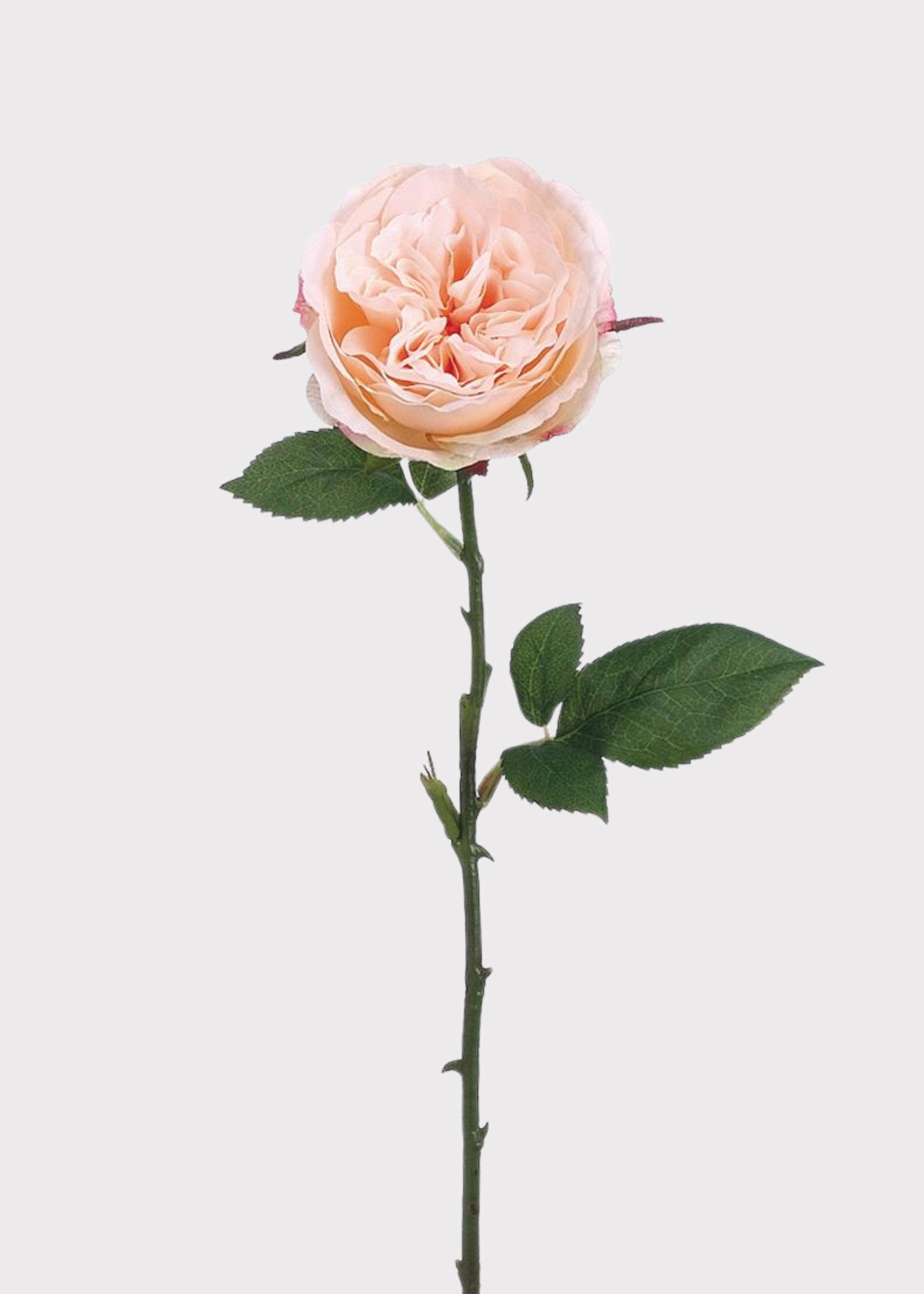Pink Artificial Rose Stem for Table Centerpiece