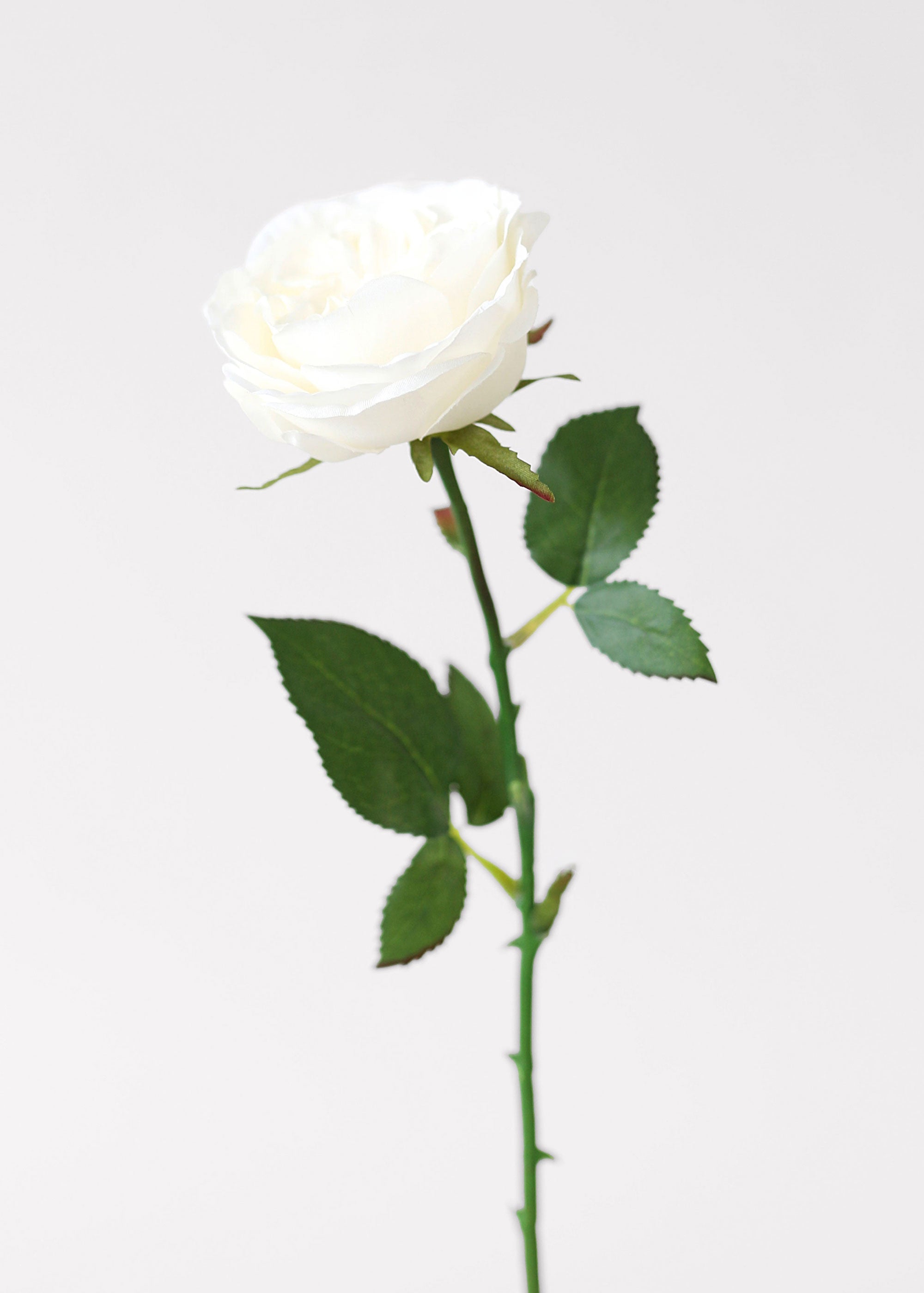 White Artificial Rose Stem for Home Decor