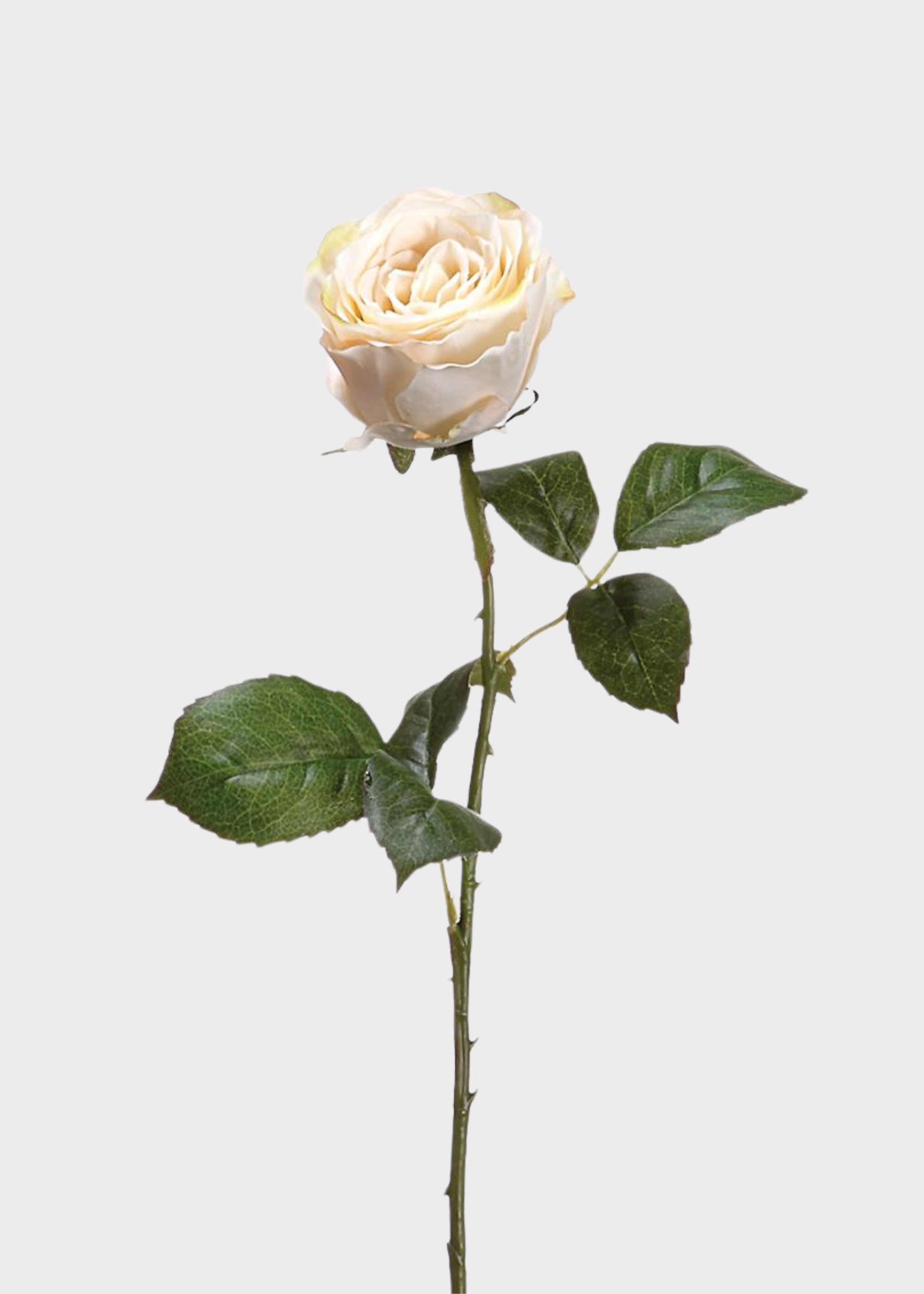 Beige Artificial Rose Stem for Vase Styling