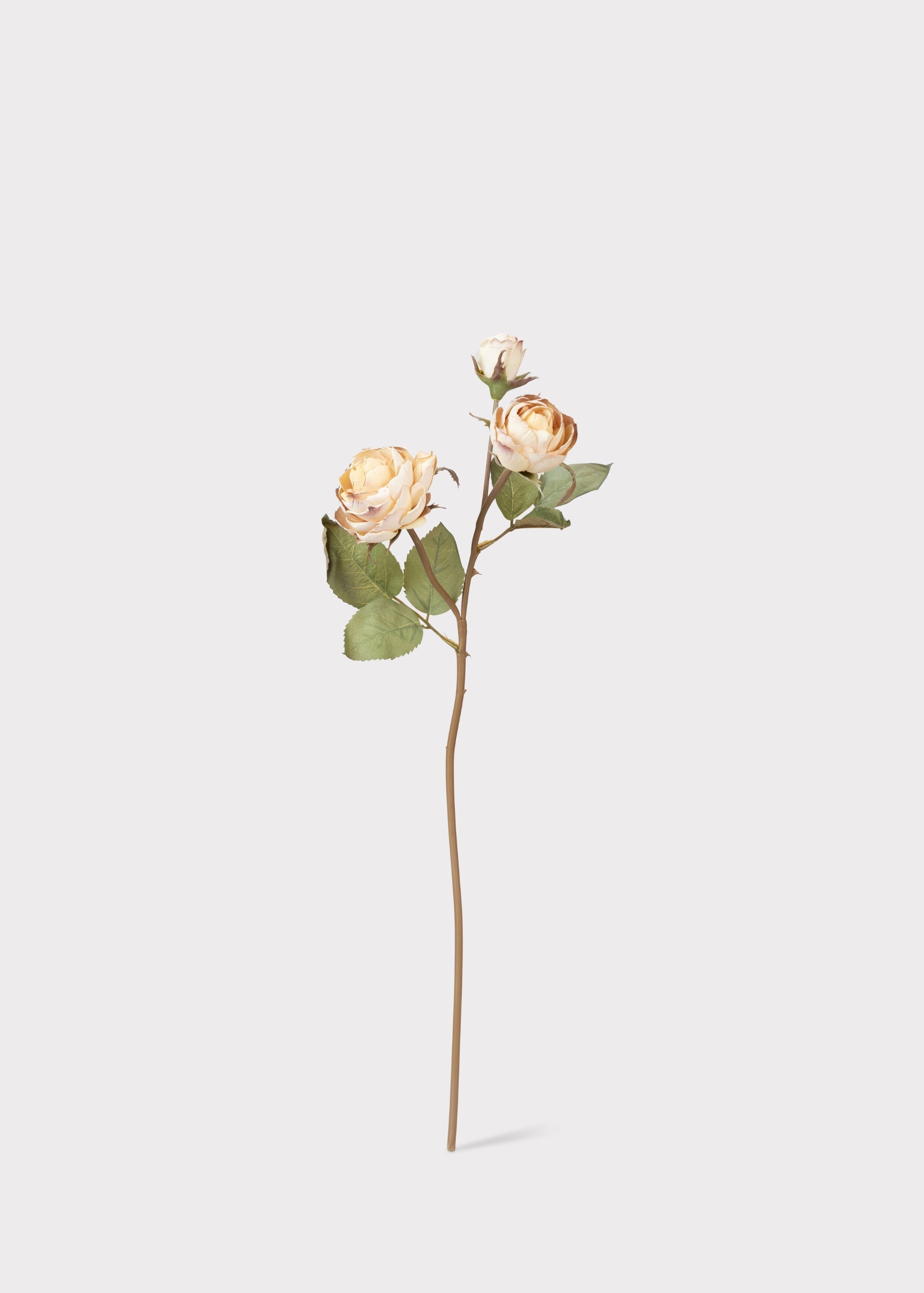 Beige Artificial Rose Stem for Entryway Arrangement