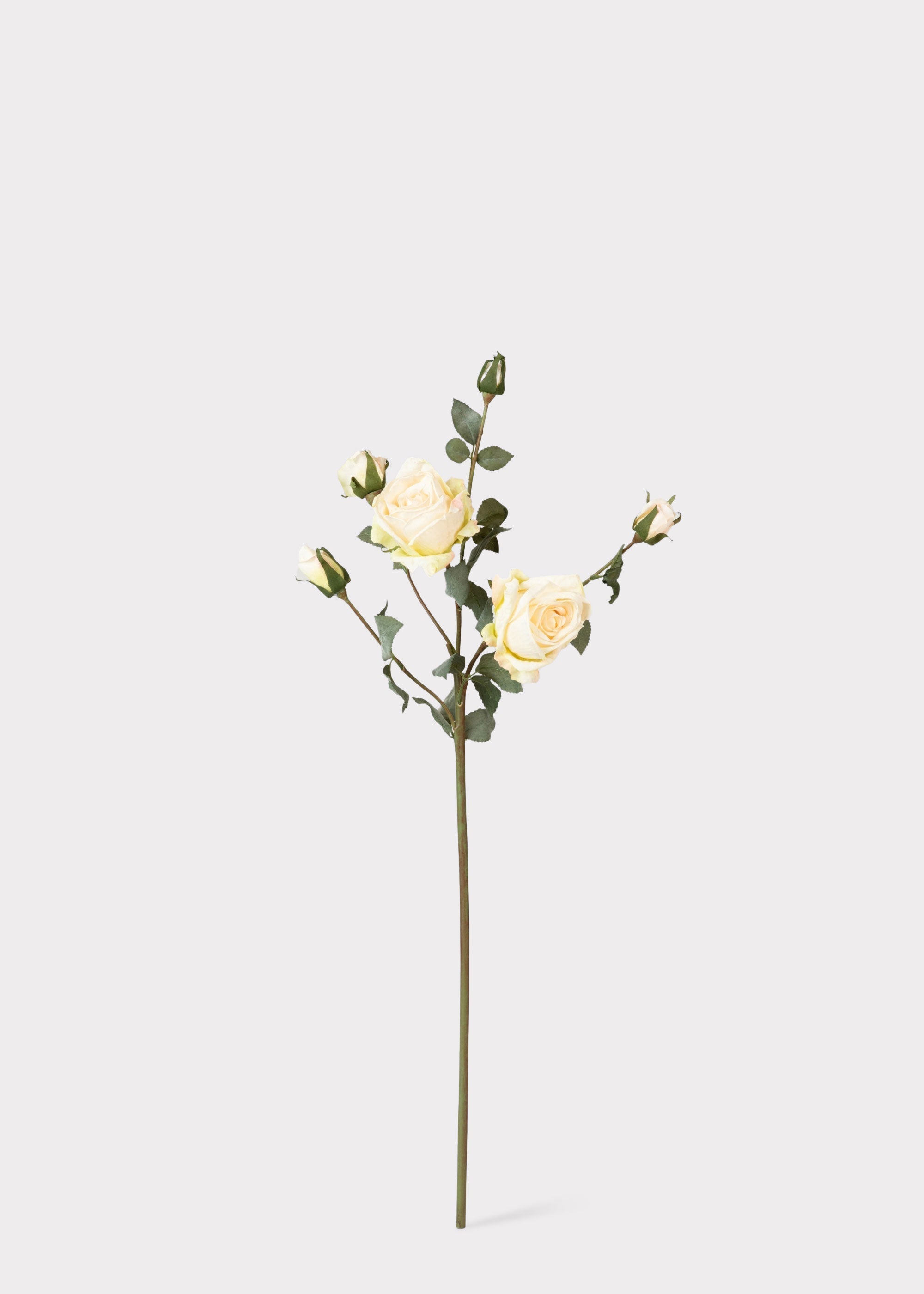 Cream Artificial Rose Stem for Wedding Decor
