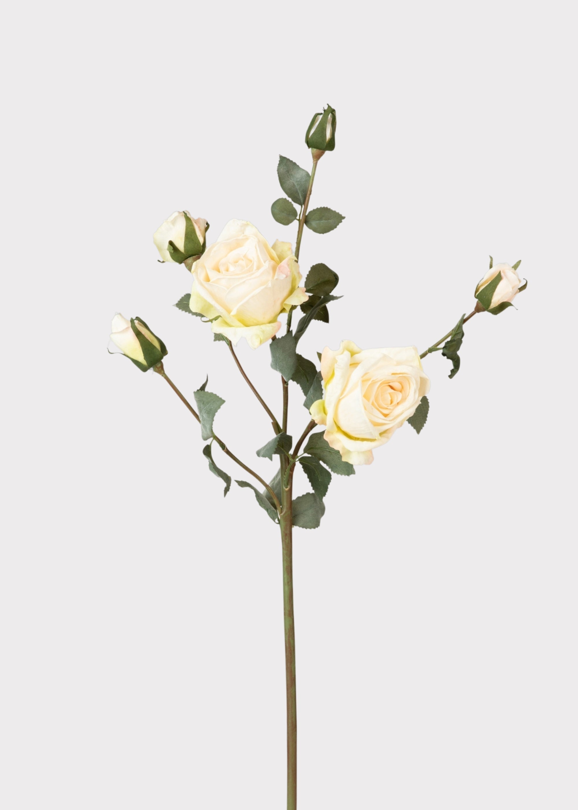 Cream Artificial Rose Stem for Home Decor