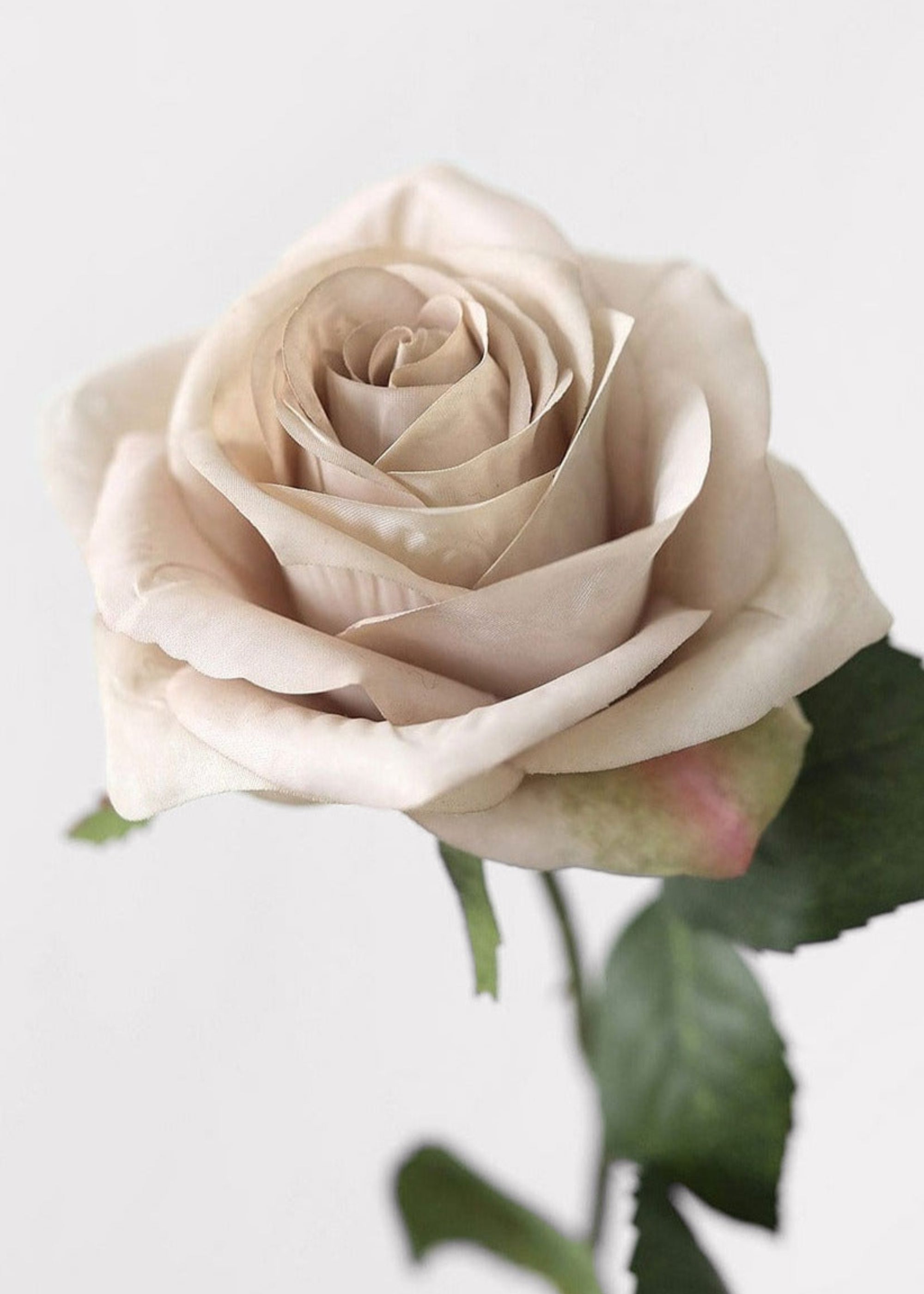 Taupe Beige Artificial Rose Stem for Home Decor