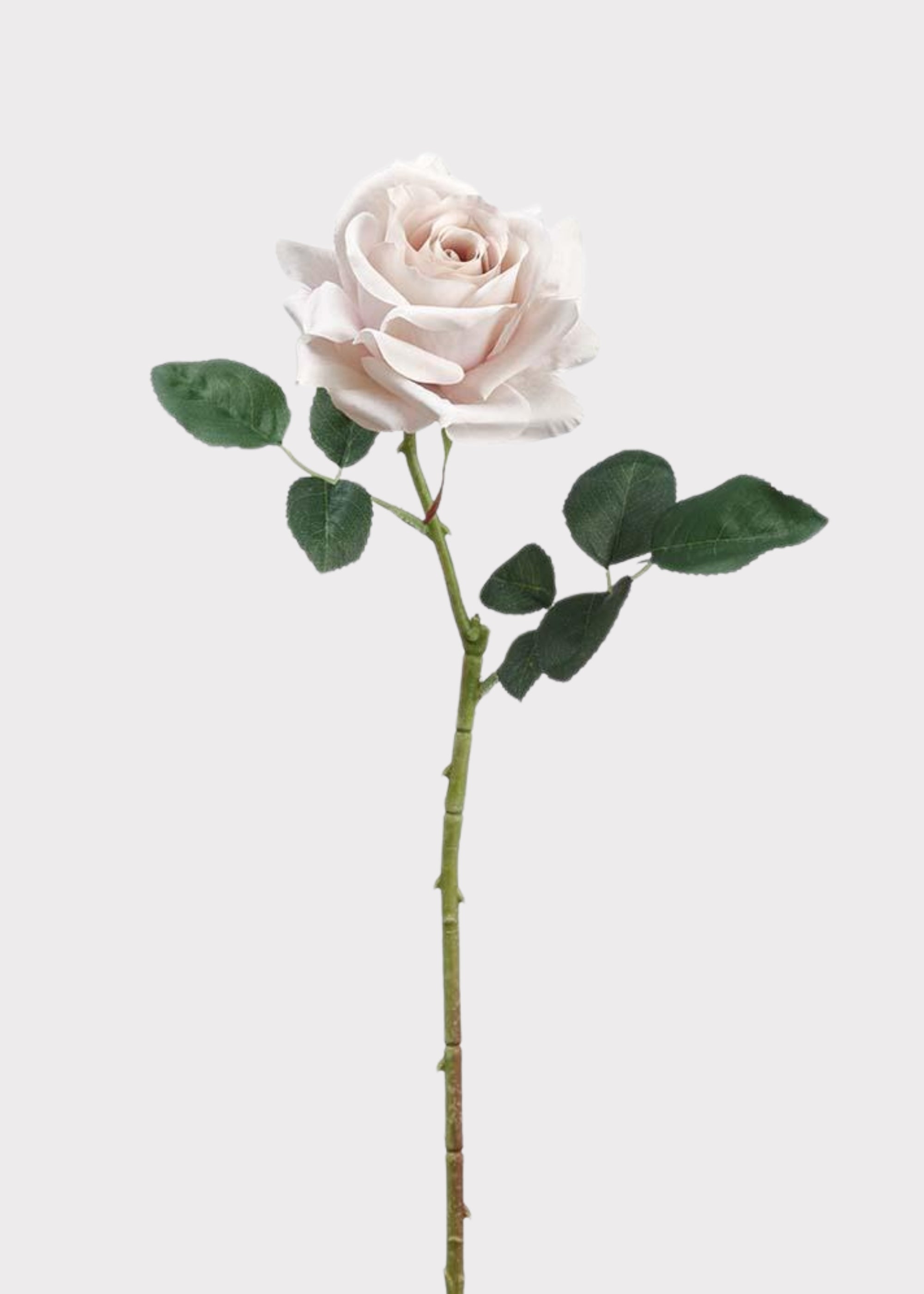 Taupe Artificial Rose Stem for Vase Styling