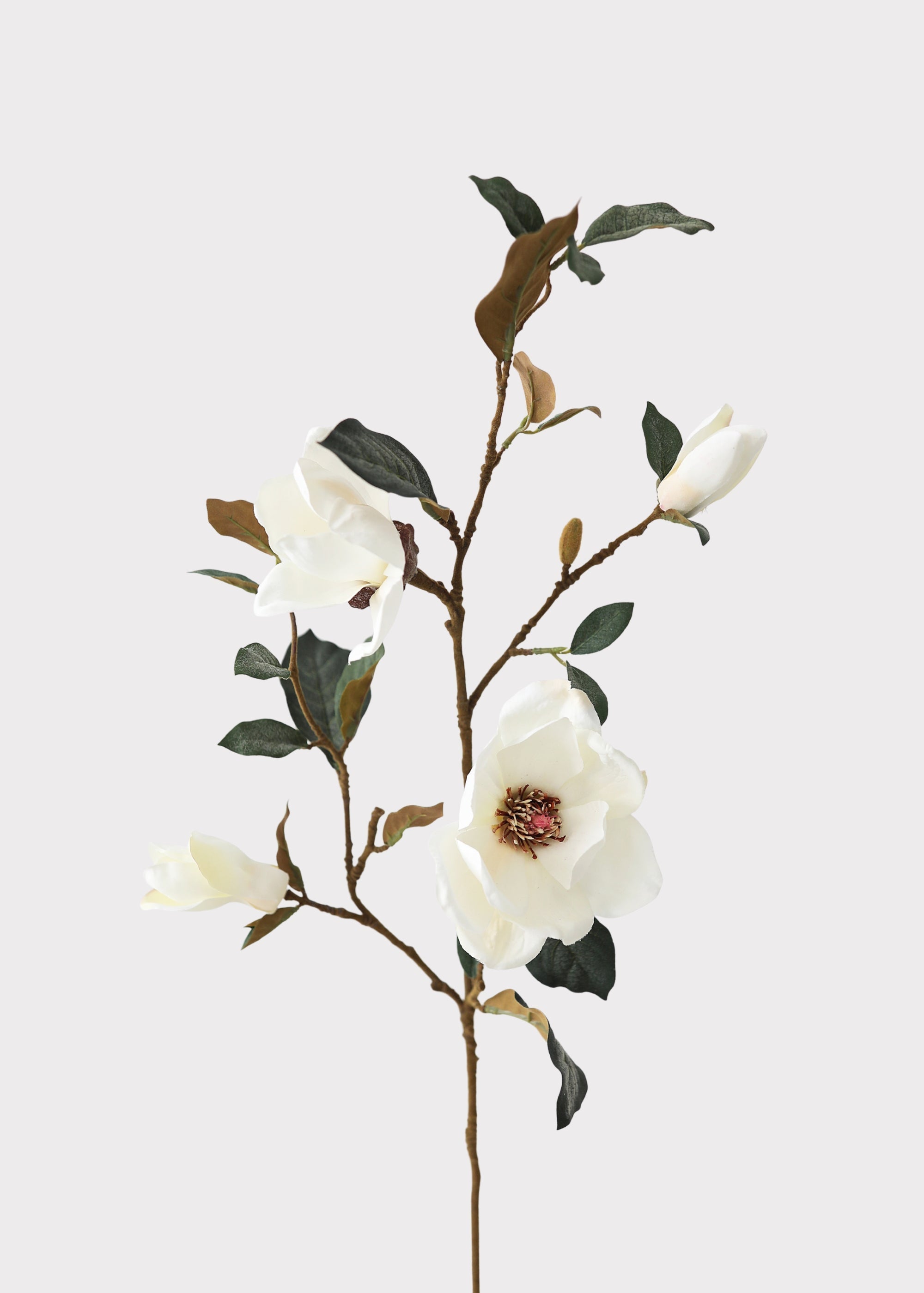 Cream Artificial Magnolia Branch for Vase Styling