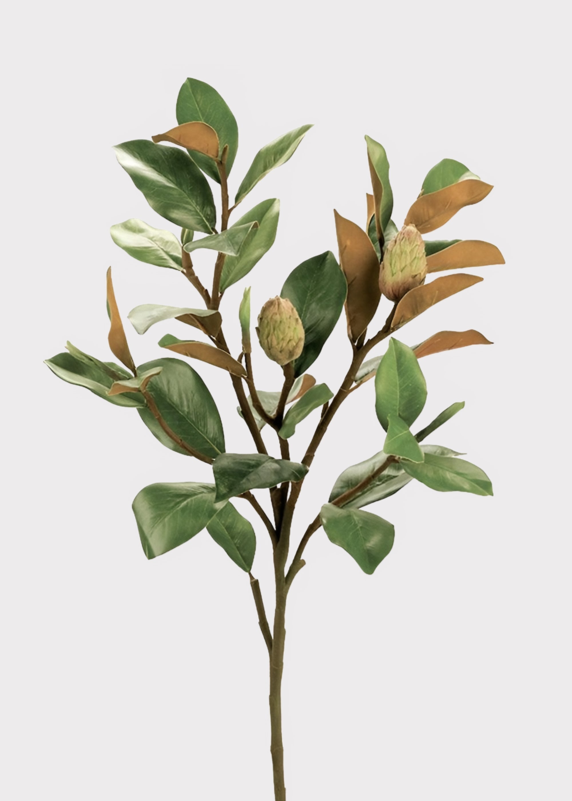 Green Artificial Magnolia Branch for Vase Styling