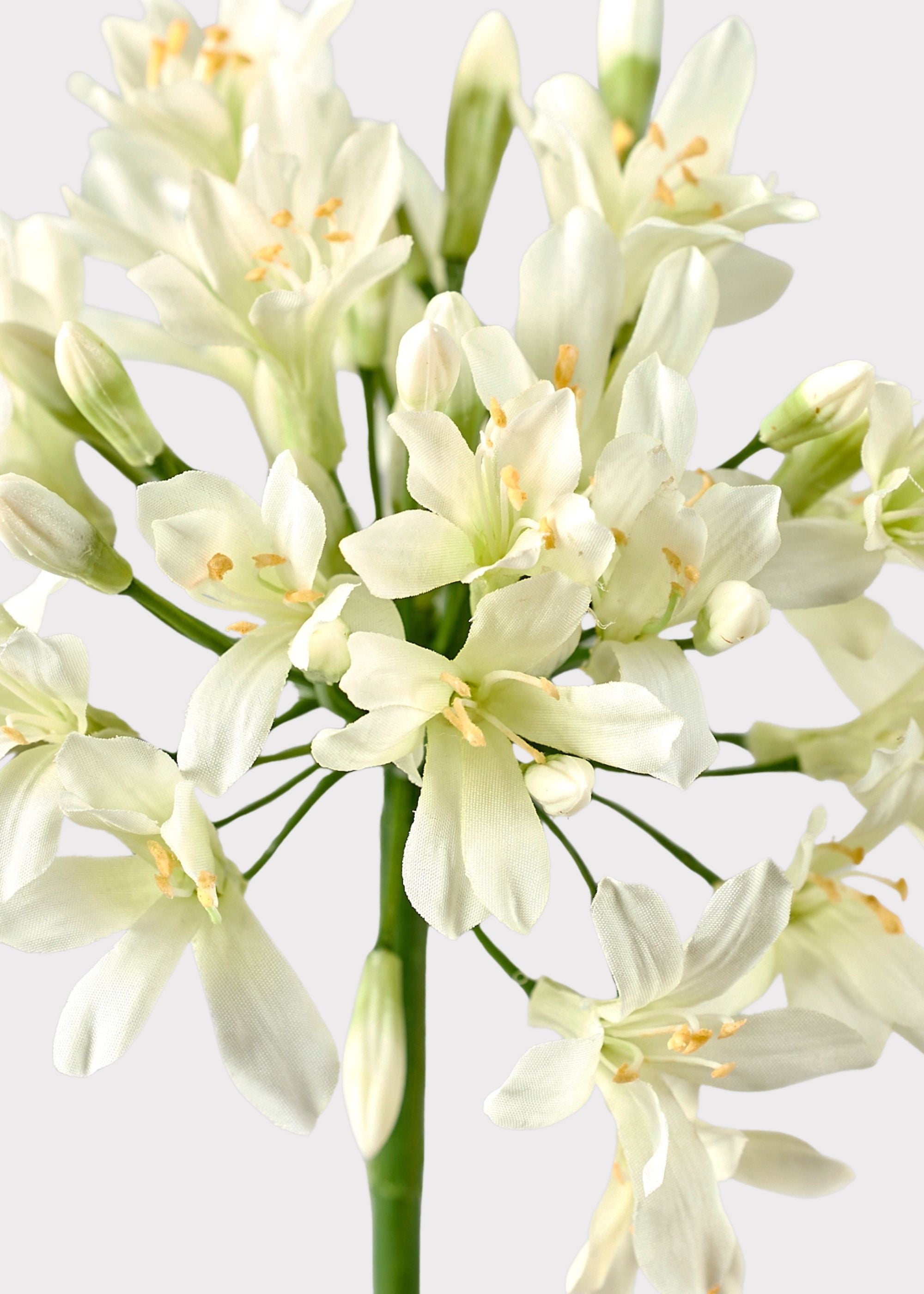 Cream Green Artificial Agapanthus for Table Centerpiece