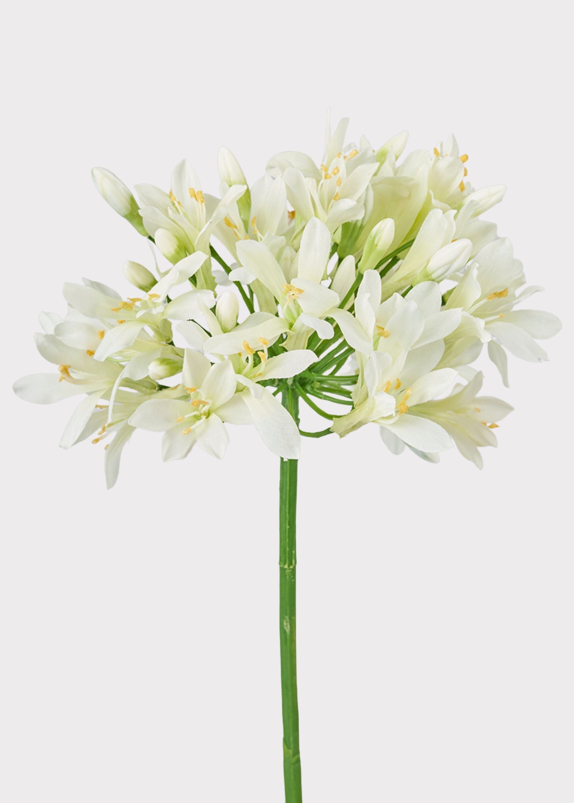 Cream Green Artificial Agapanthus for Wedding Decor