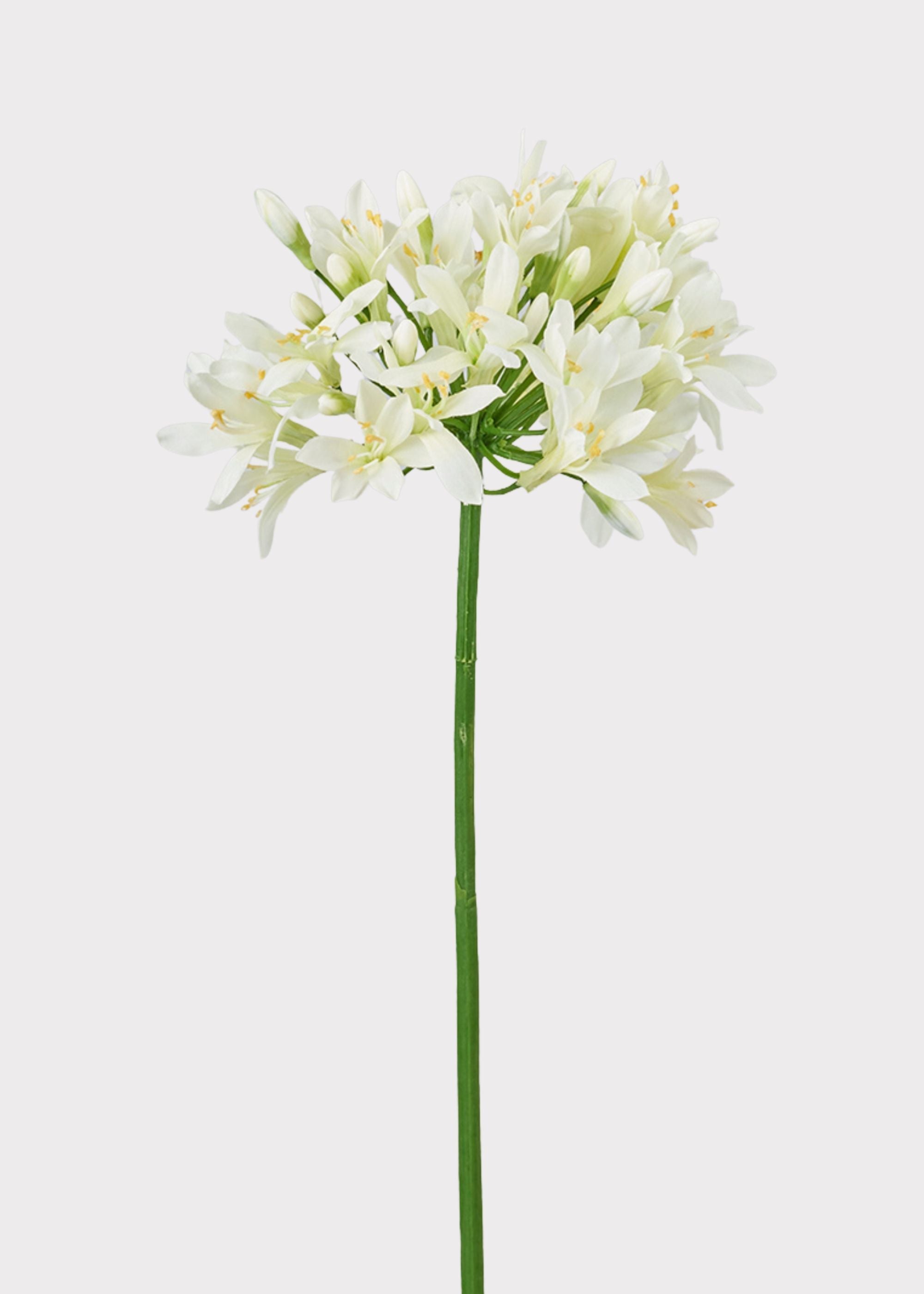 Cream Green Artificial Agapanthus for Vase Styling