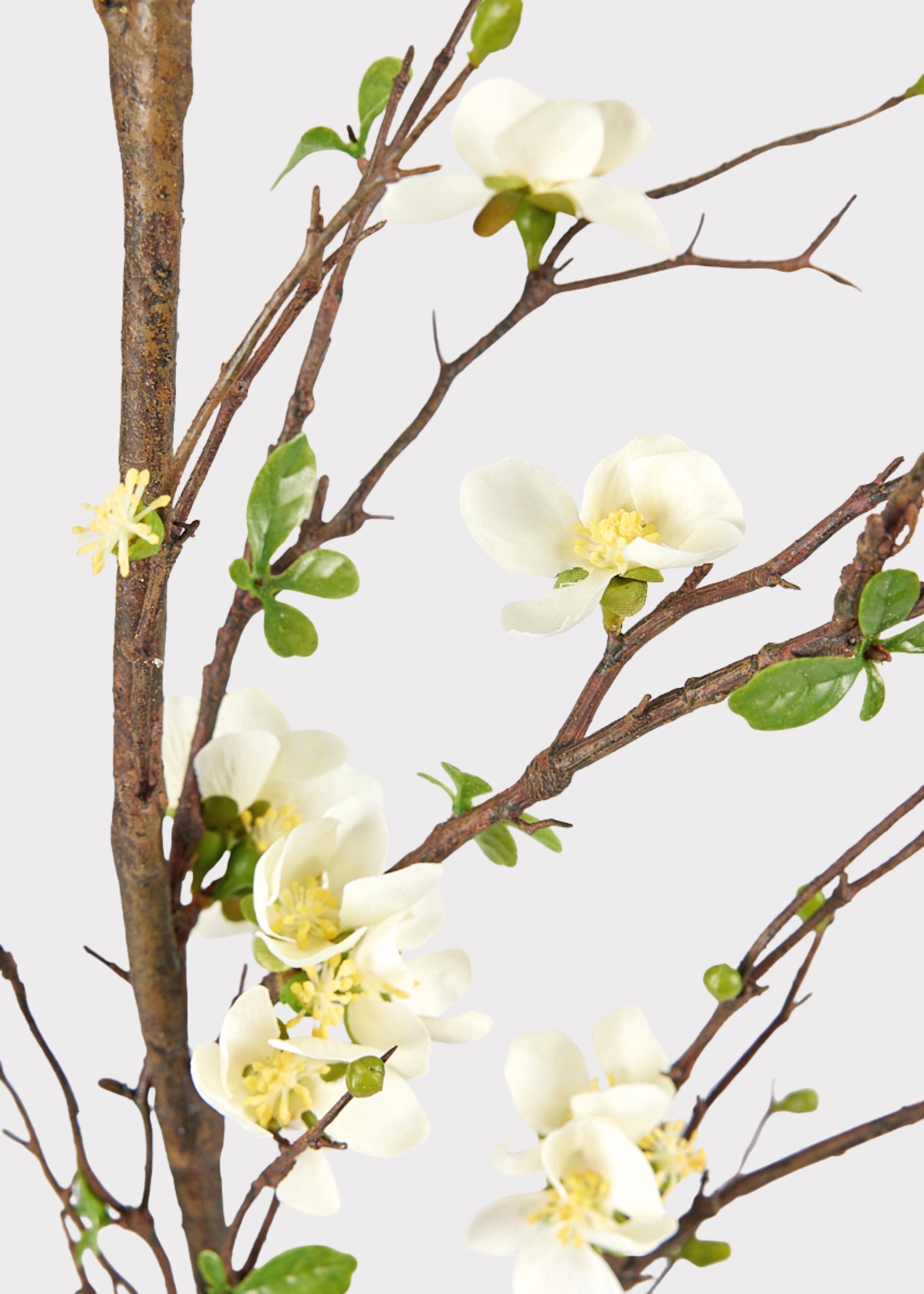 Cream Artificial Cherry Blossom Branch for Wedding Decor