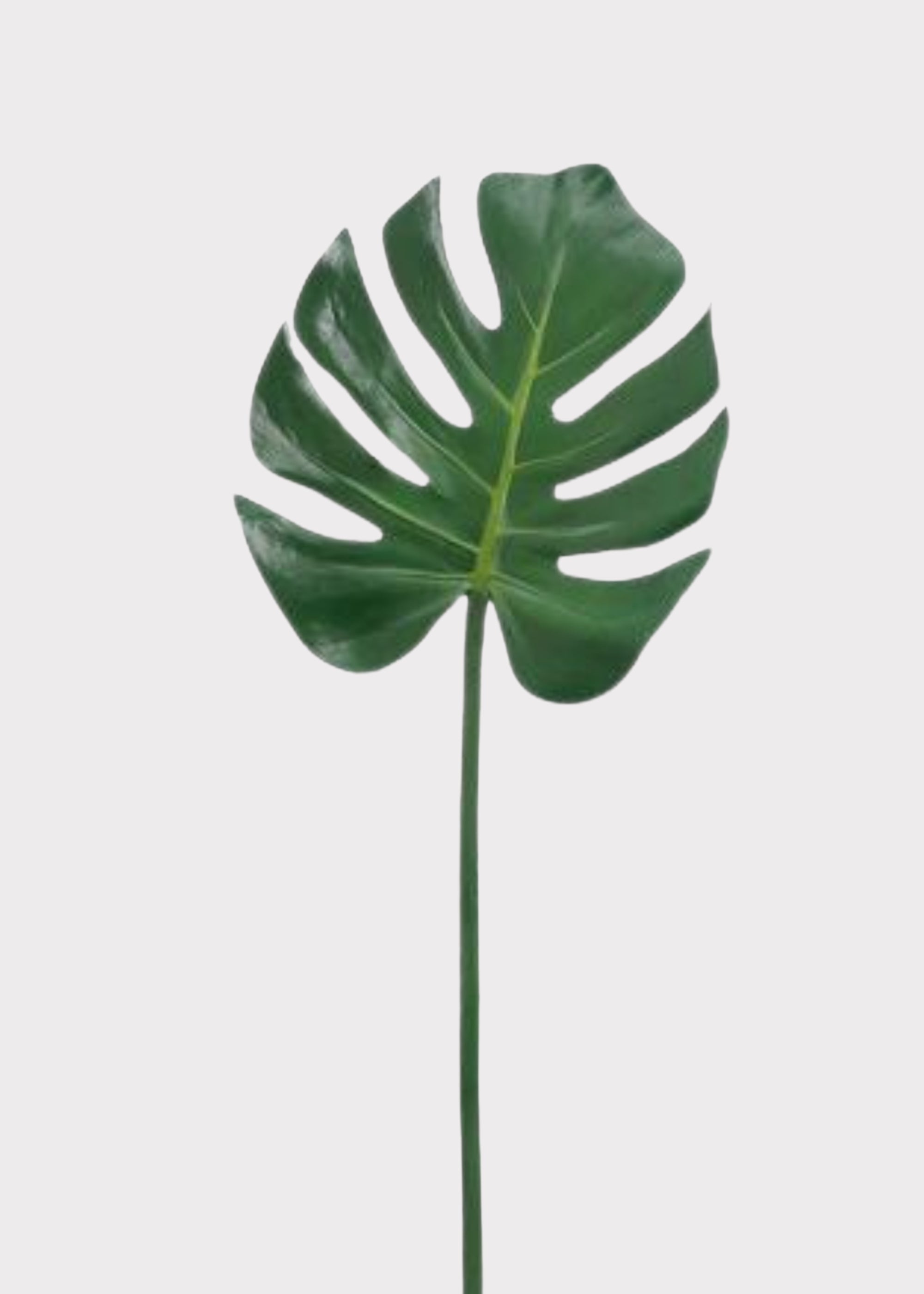 Green Artificial Leaf Stem for Vase Styling