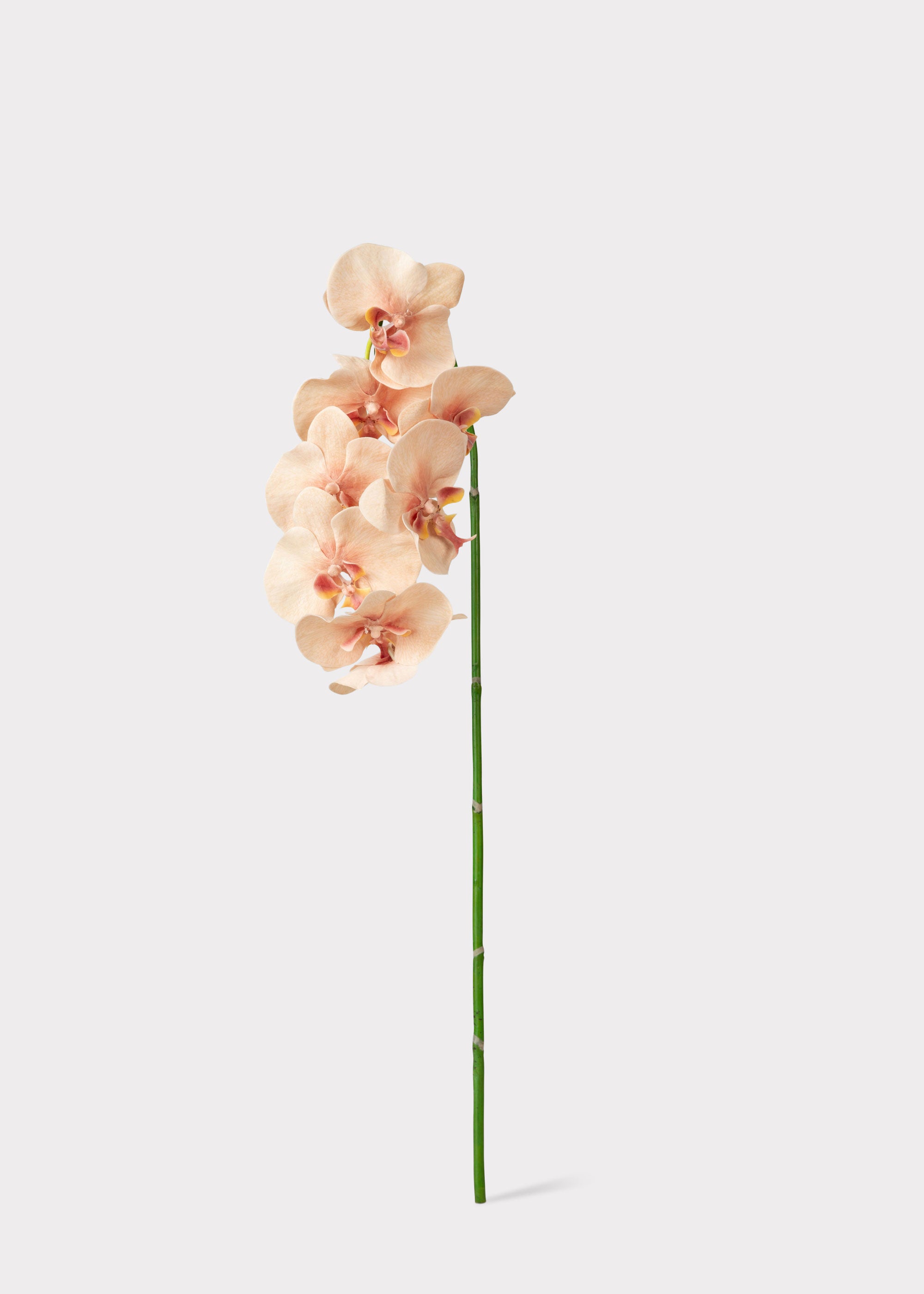 Pink Artificial Orchid Stem for Home Decor
