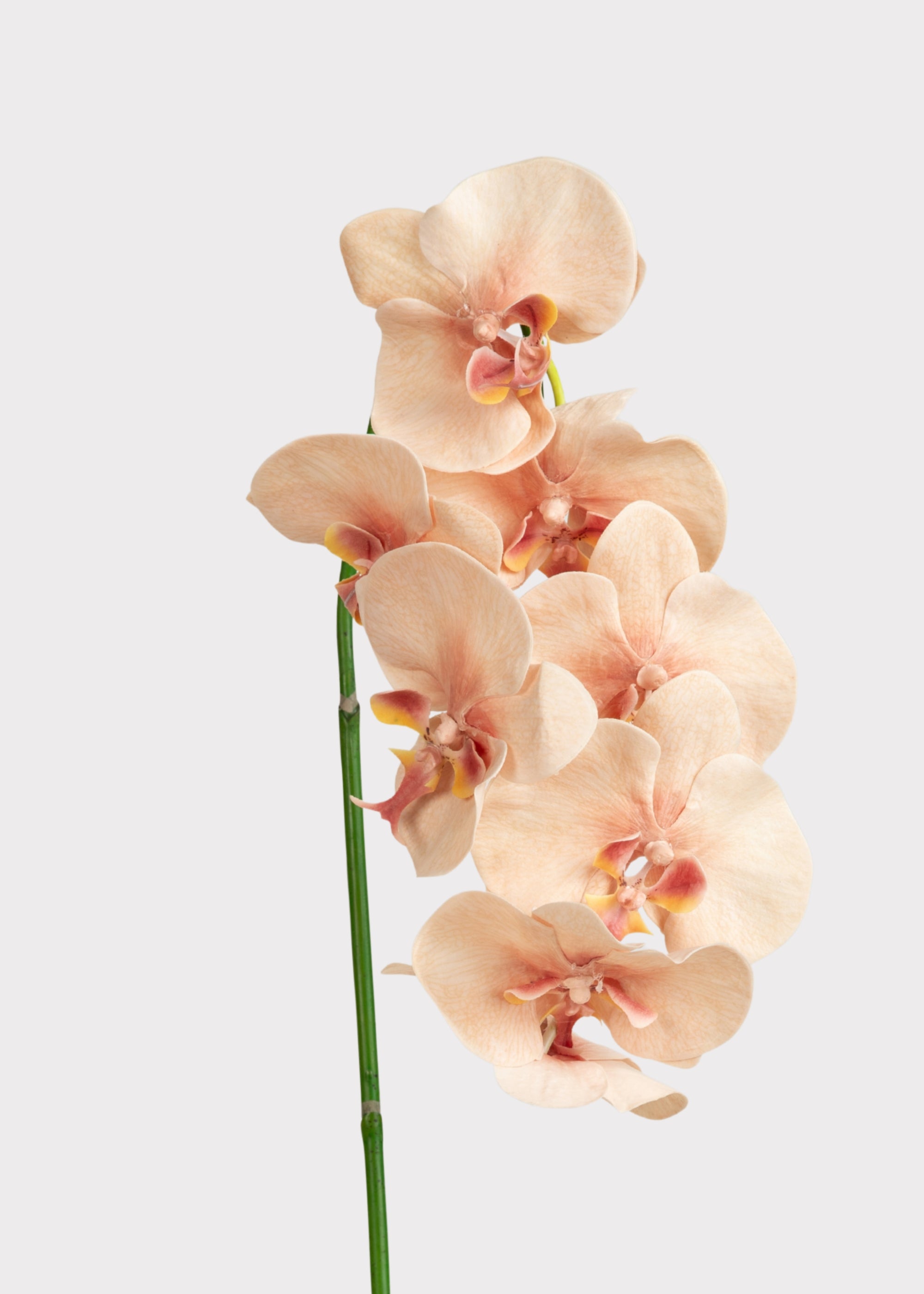 Pink Artificial Orchid Stem for Vase Styling