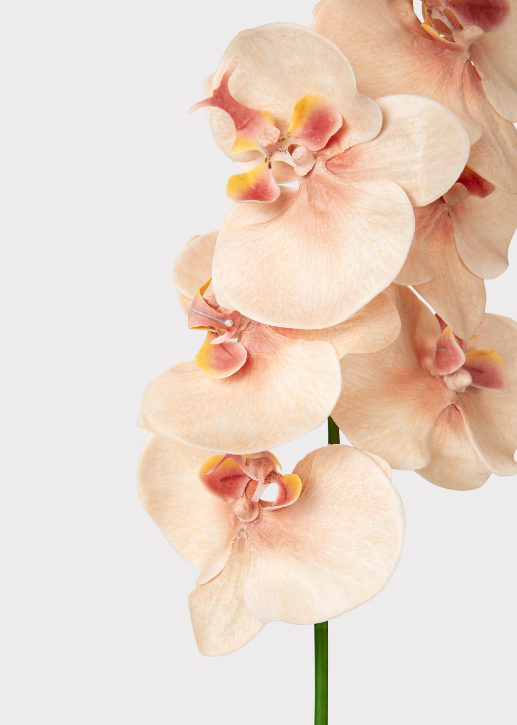 Pink Artificial Orchid Stem for Entryway Arrangement