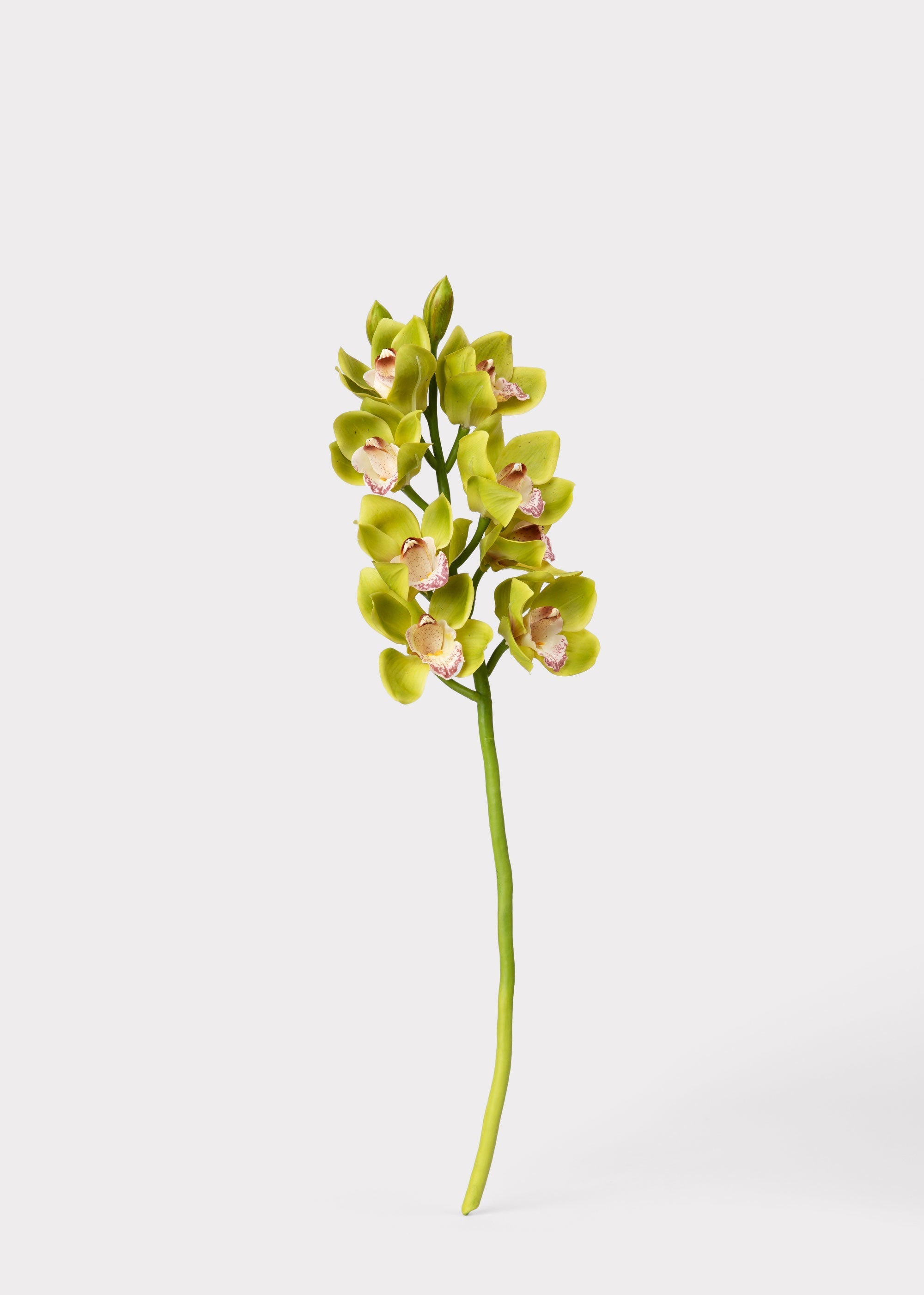 Burgundy Artificial Orchid Stem for Wedding Decor