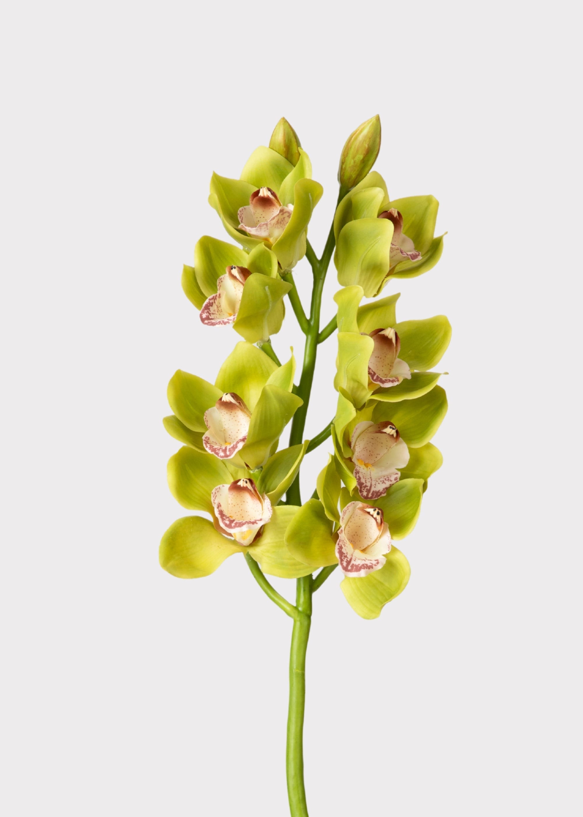 Burgundy Artificial Orchid Stem for Vase Styling