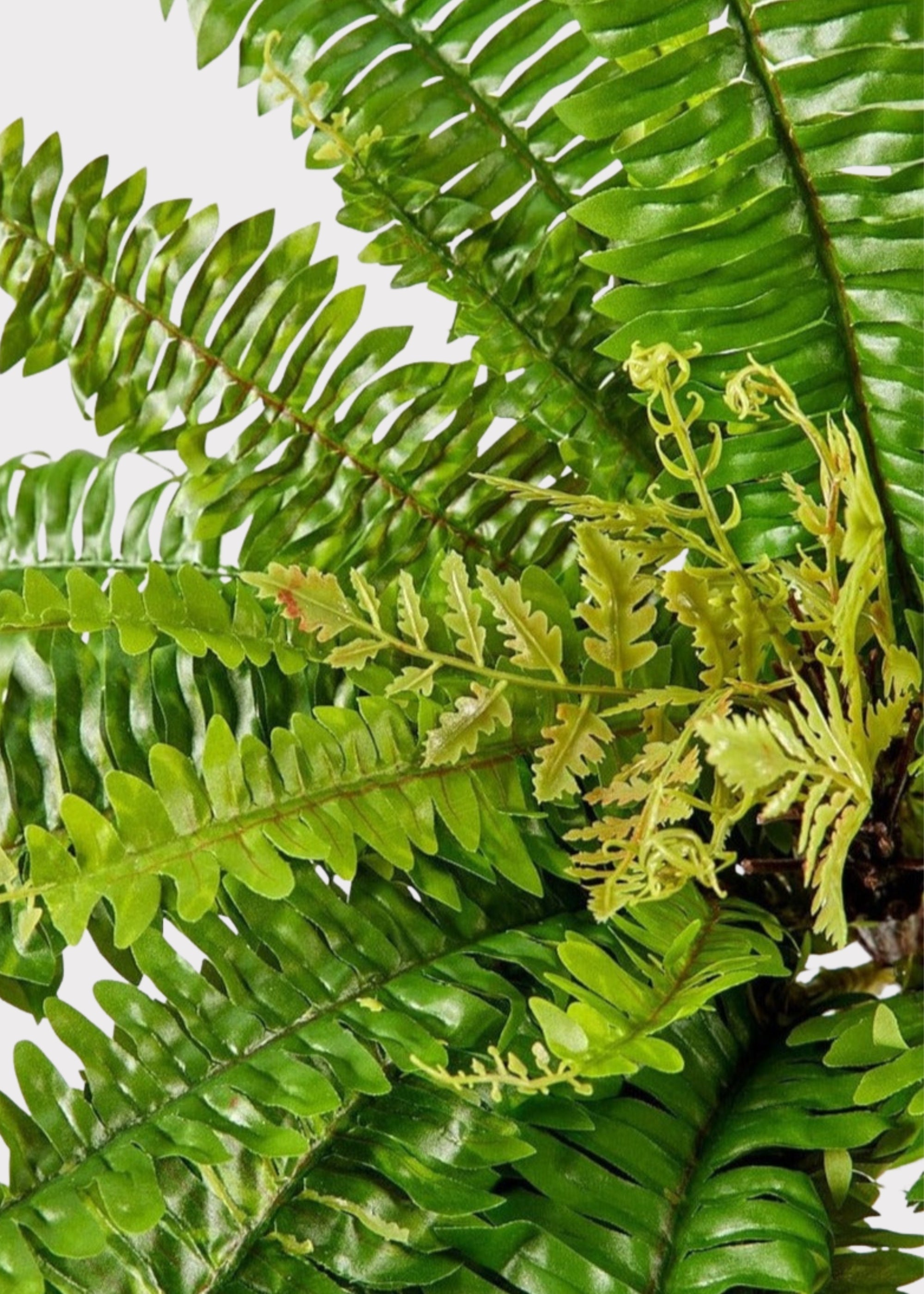 Green Artificial Fern Stem for Home Decor